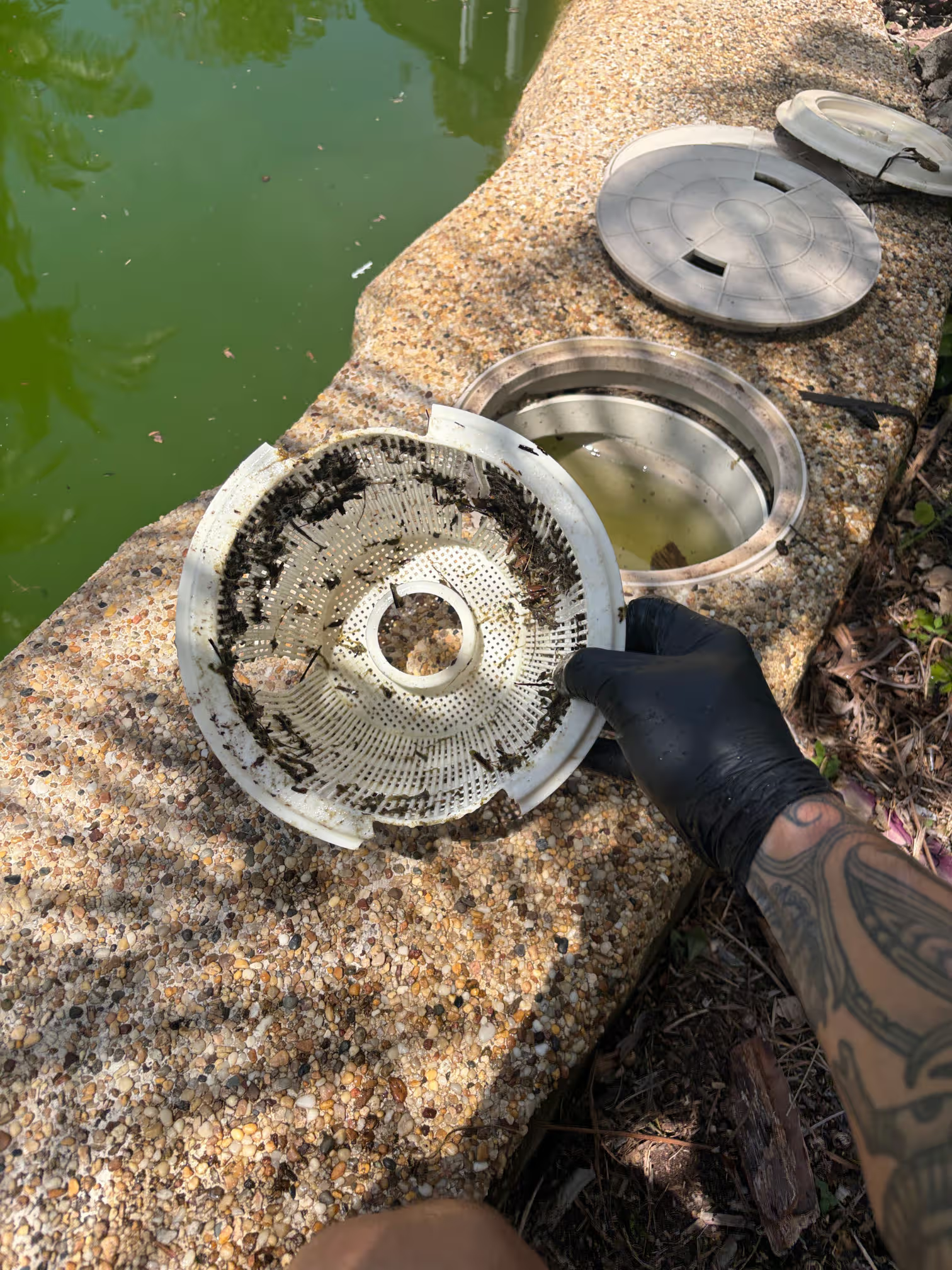 A person wearing a black glove and tattooed arm holding a dirty pool skimmer net with debris, near an older pool drain cover and a closed pool light cover on a concrete pool deck, with a green murky pool water in the background.