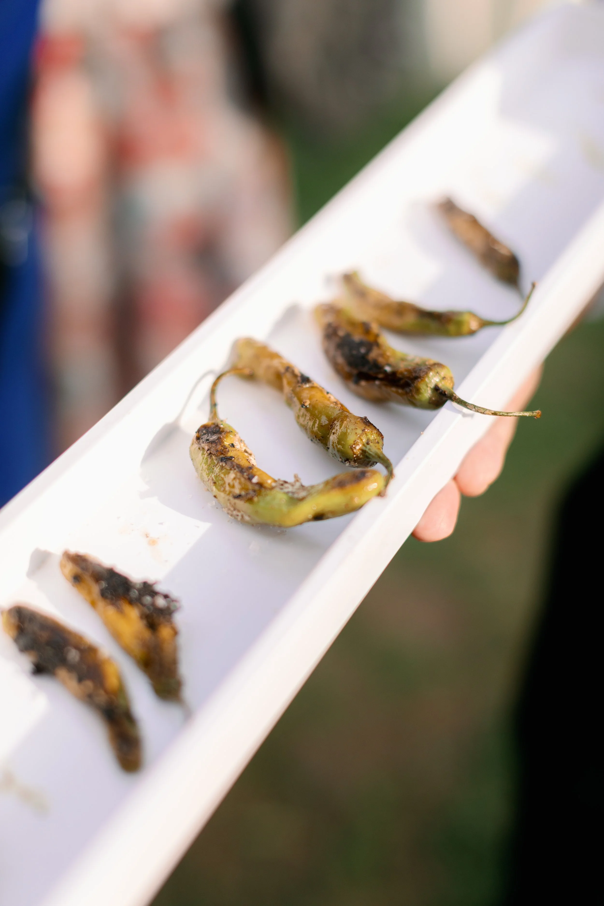 Cocktail Hour 20.jpg