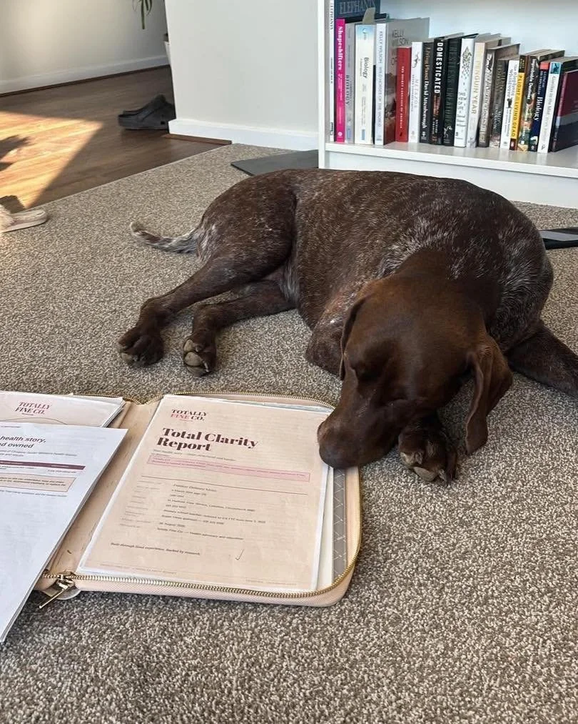 Abit of a real and raw behind the scene photo&hellip;🫶 
Our pets are always included in business meetings and the first to know about anything up and coming! 

#womenshealth #smallbuisness #startupbusiness