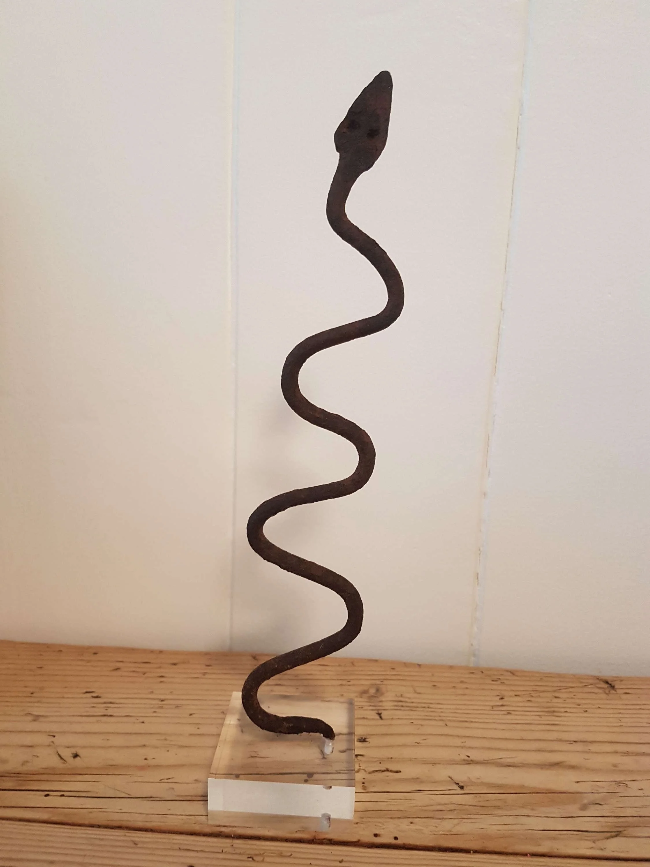 lobi-iron-snake-currency-on-lucite-stand_10230_main_size3.jpg