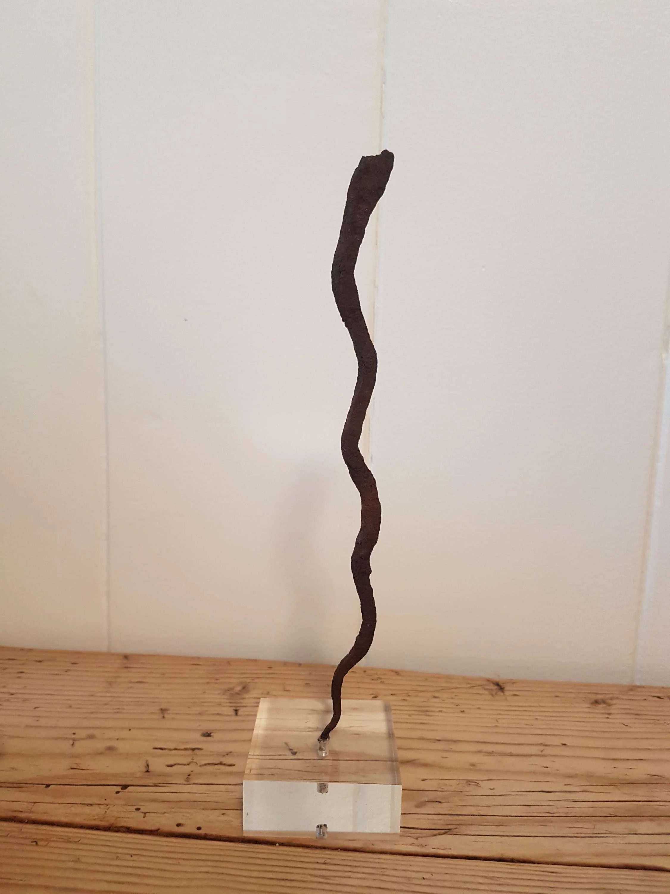 lobi-iron-snake-currency-on-lucite-stand-smaller-one_10233_main_size3.jpg