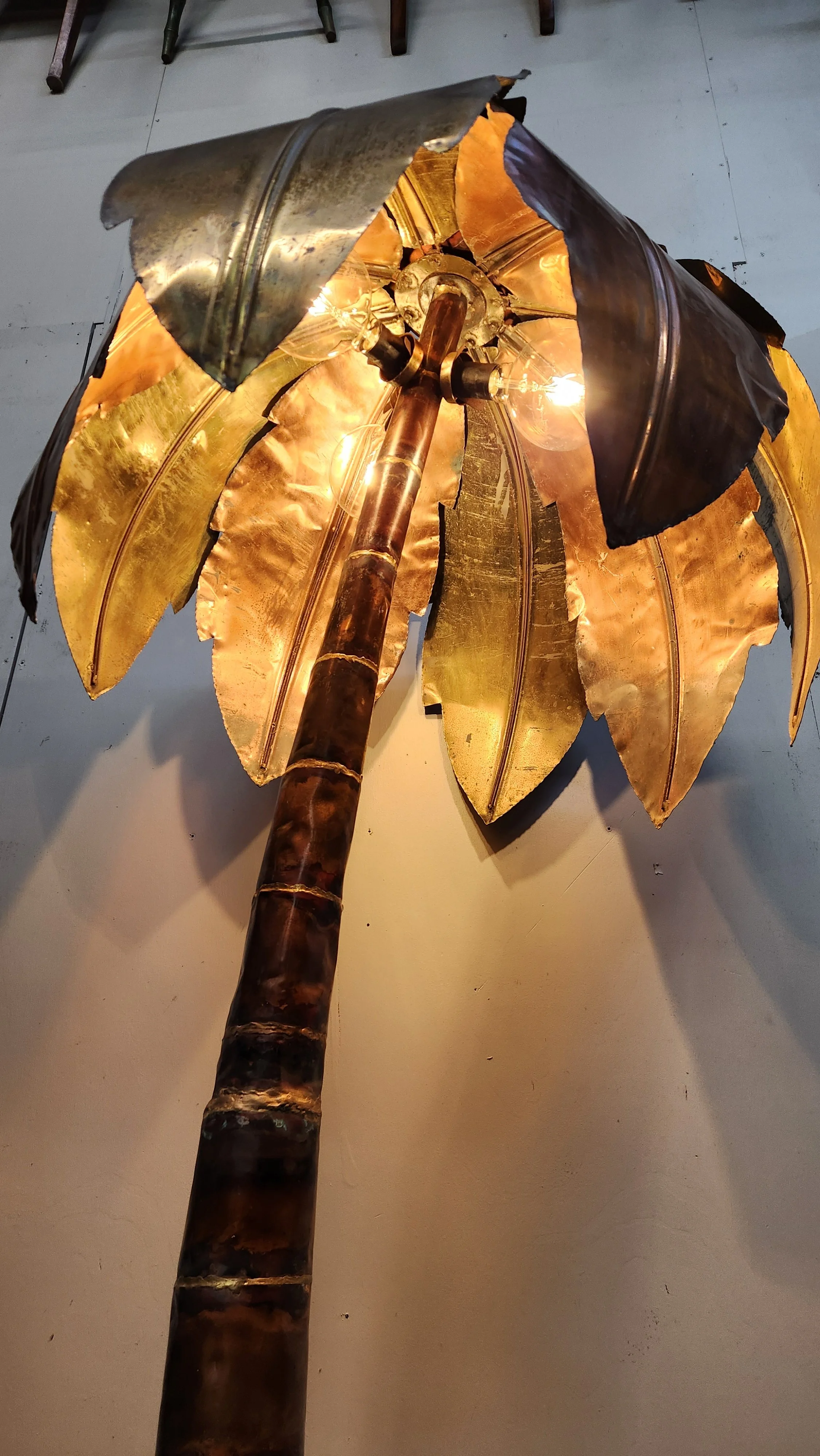 20260923_162247.jpg