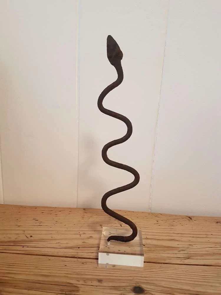 lobi-iron-snake-currency-on-lucite-stand_10230_pic4_size2.jpg