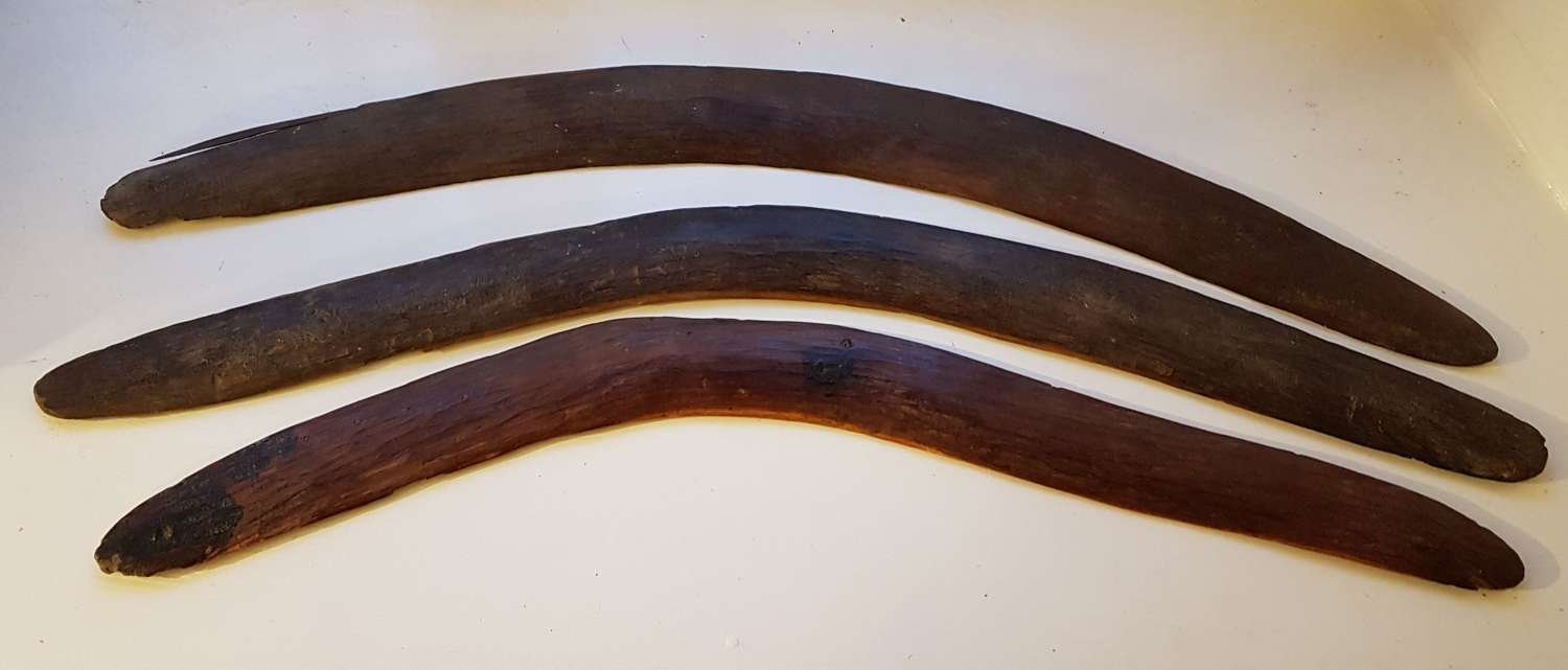 3-19th-century-west-australian-boomerangs_10130_main_size3.jpg