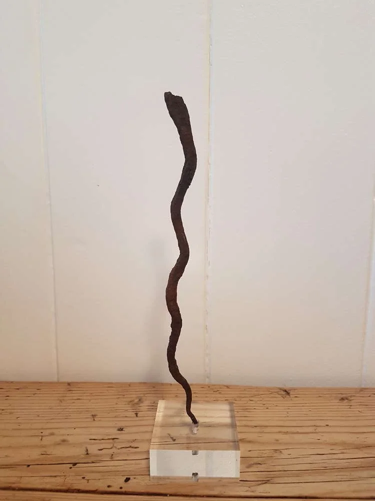 lobi-iron-snake-currency-on-lucite-stand-smaller-one_10233_pic3_size2.jpg