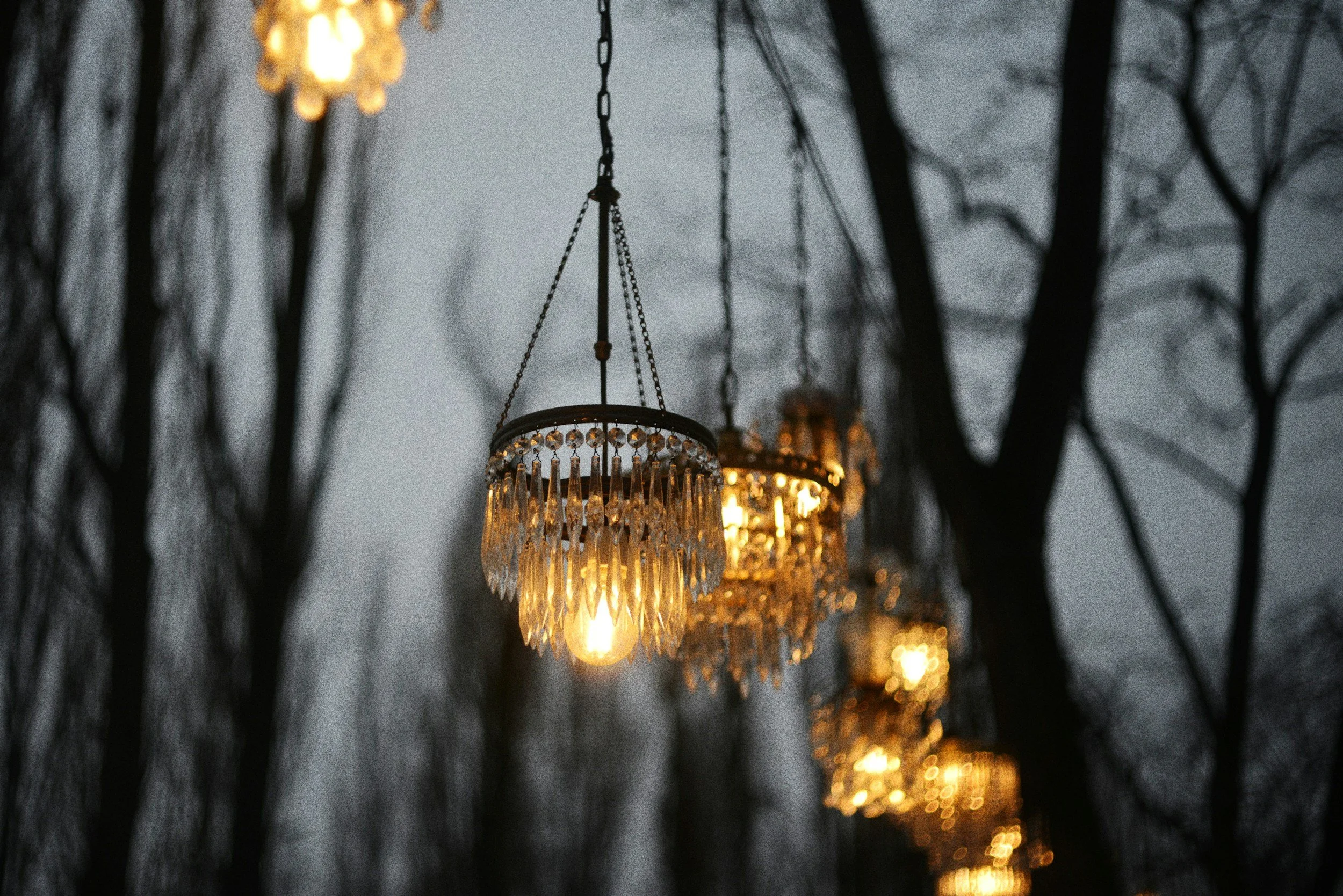 Multiple hanging chandeliers with glowing lights, viewed against a dark, leafless tree background at dusk or night.
