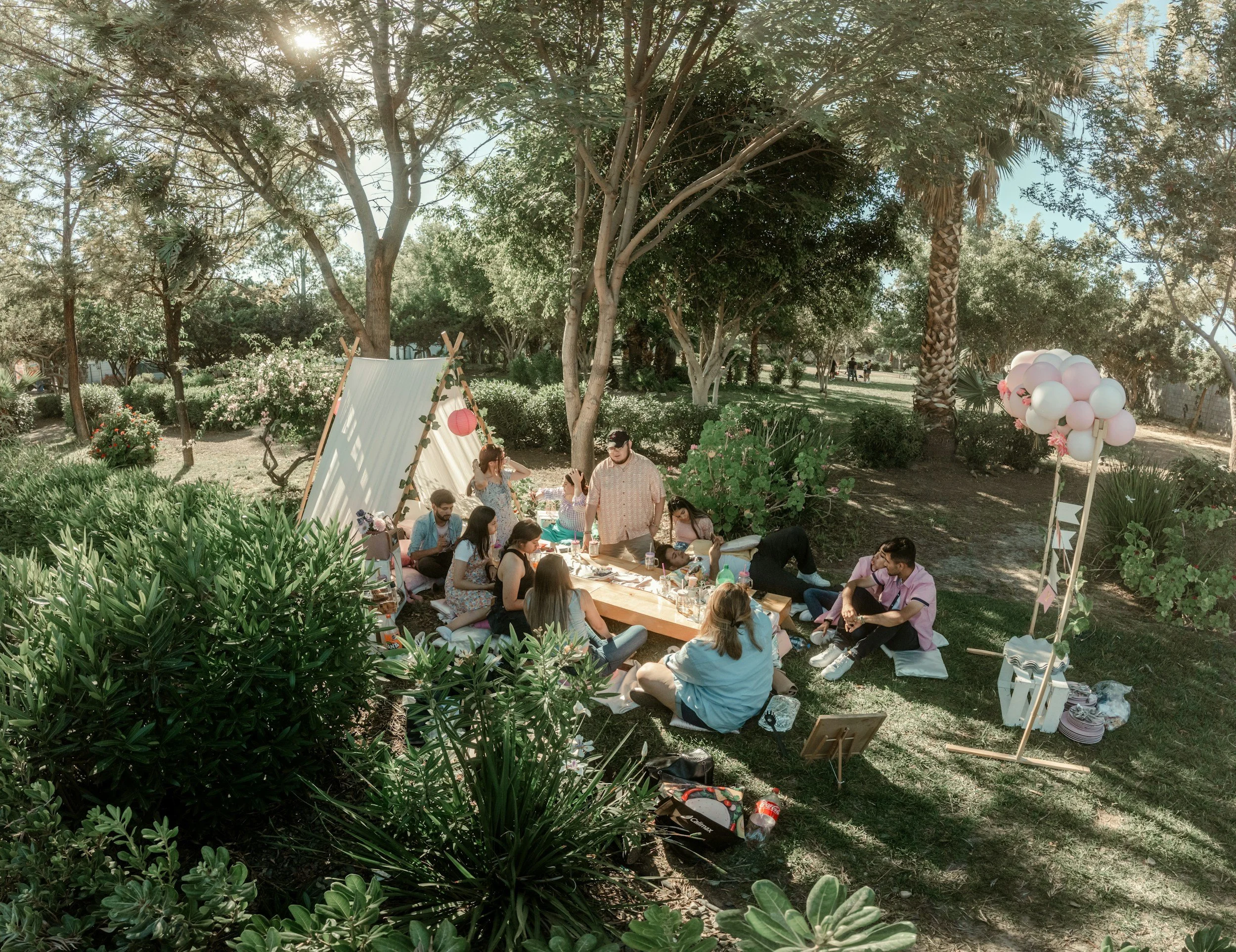 People gathered in an outdoor park for a celebration, sitting around a low table, with pastel pink and white balloons, trees, and shrubs around, under a sunny sky.