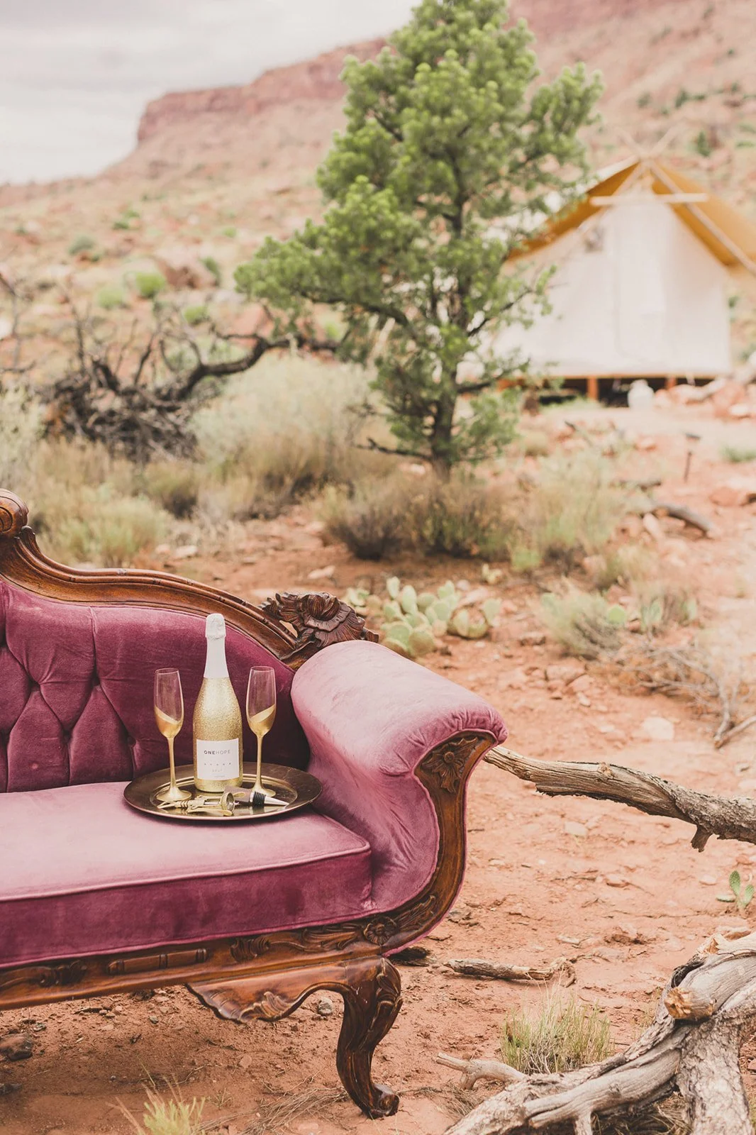 Vintage pink velvet sofa with ornate wooden frame in a desert landscape, with a tray holding a bottle of champagne and two glasses. There is a tree and a white canvas tent in the background.