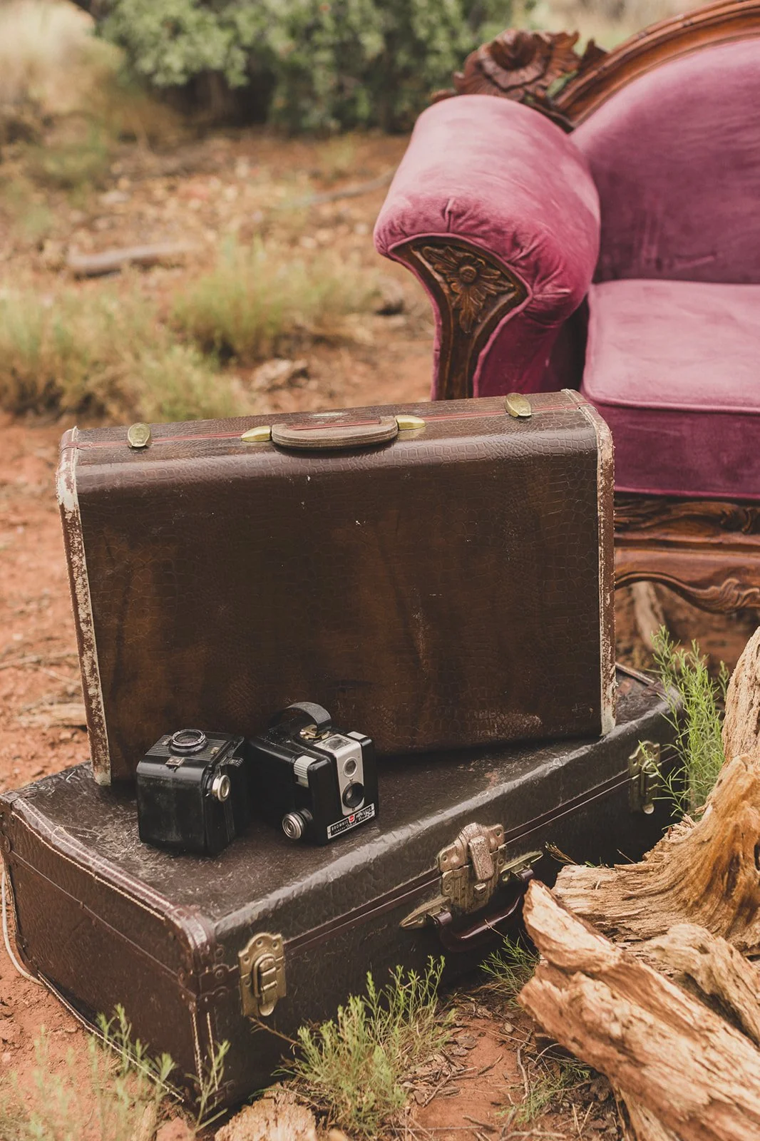 Vintage suitcase with old cameras on top, pink velvet sofa in an outdoor, natural setting with dry grass and scattered logs.