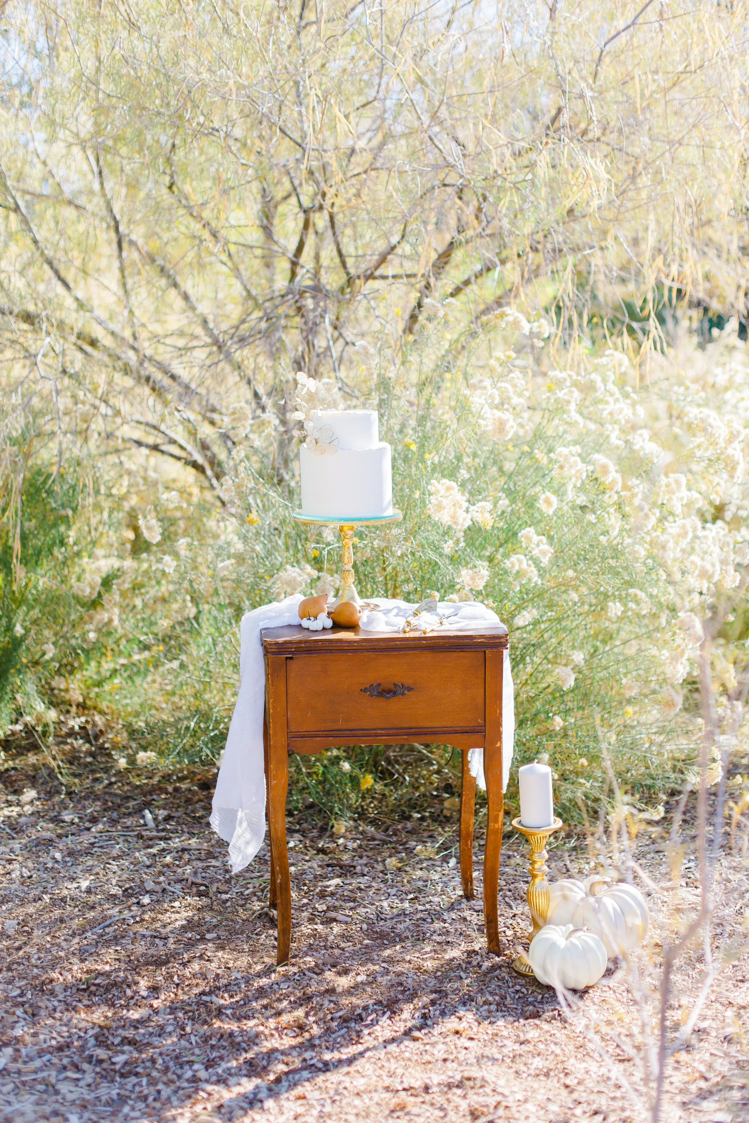 A white two-tiered cake on a stand on a wooden table outdoors surrounded by white pumpkins, candles, and white pumpkins, with trees and foliage in the background.