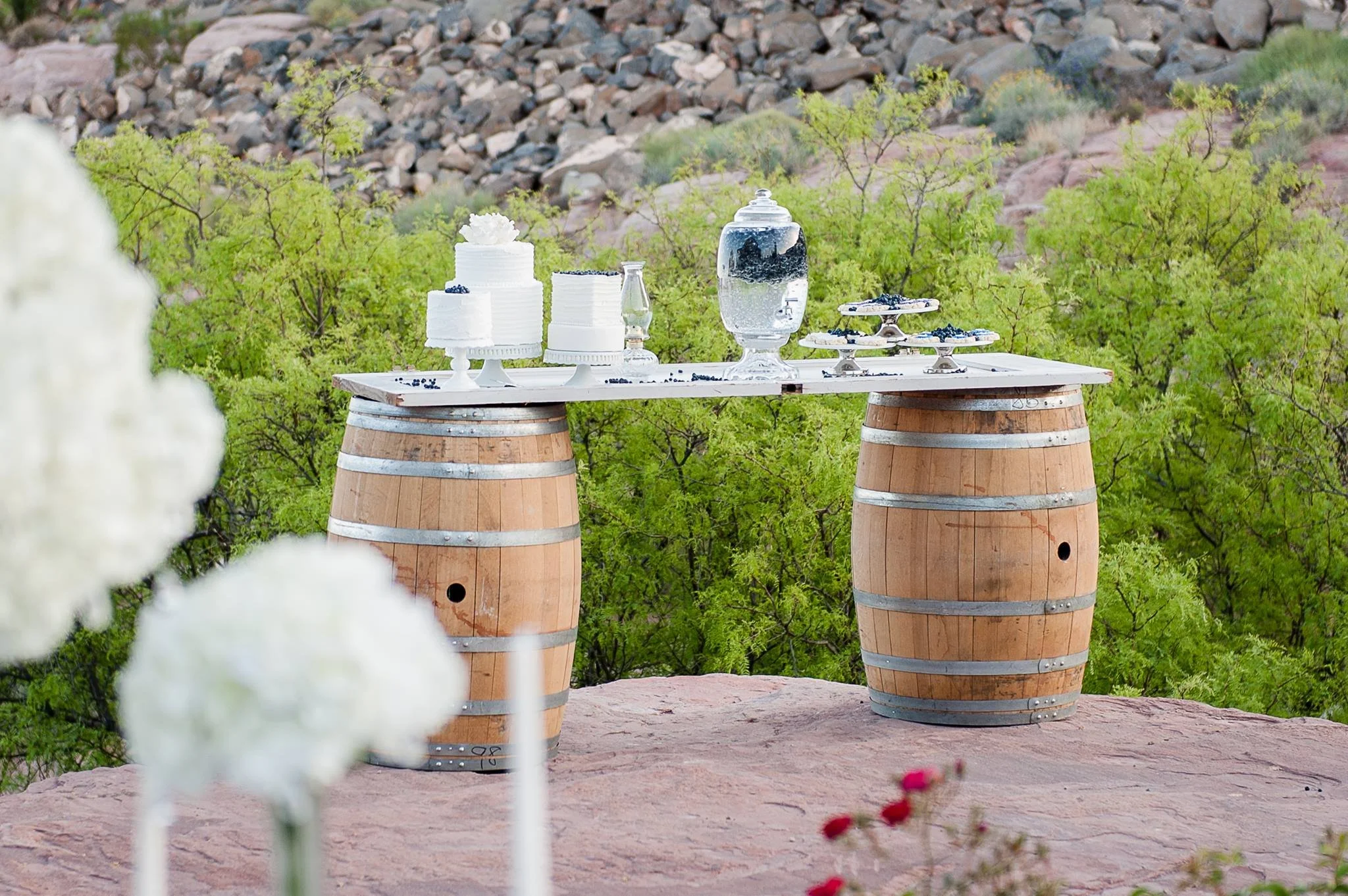 A rustic outdoor table setup with white cakes and blueberries, placed on top of two wooden barrels, surrounded by green shrubbery and rocks in the background.