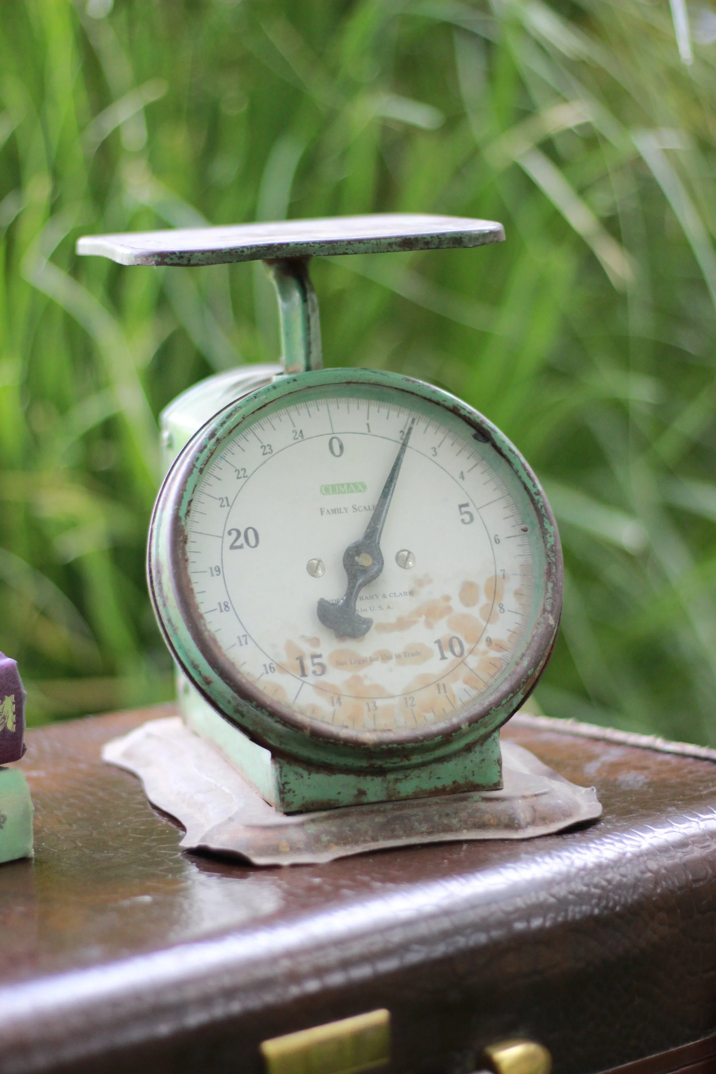 Vintage green mechanical kitchen scale with a round dial on a wooden table, outdoors with green foliage in the background.