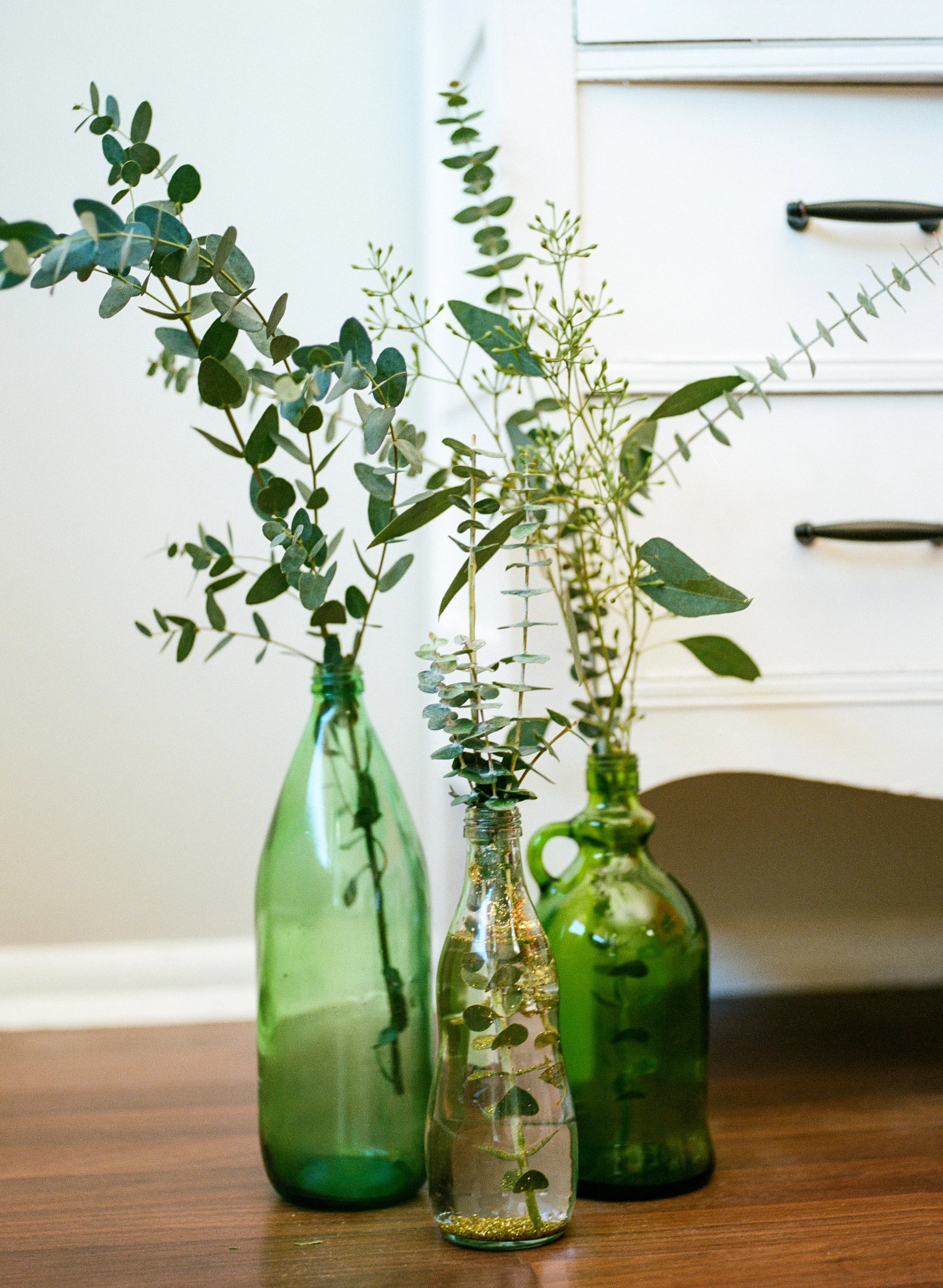 Three glass bottles of different shades of green on a wooden surface holding various green plants and foliage.