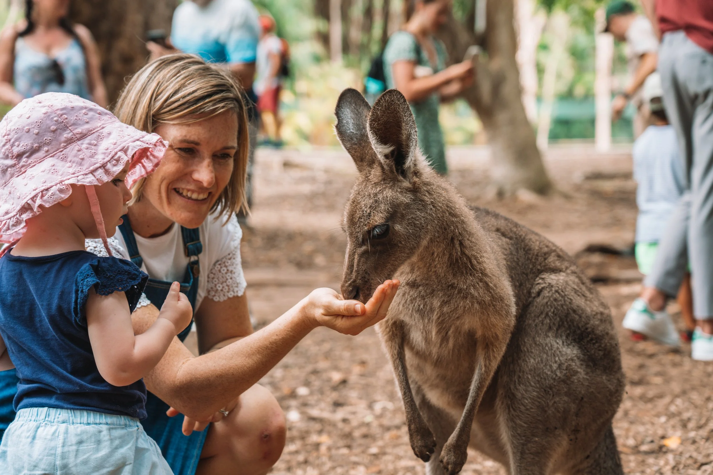 A woman and two children pet a young kangaroo at a zoo or wildlife park.