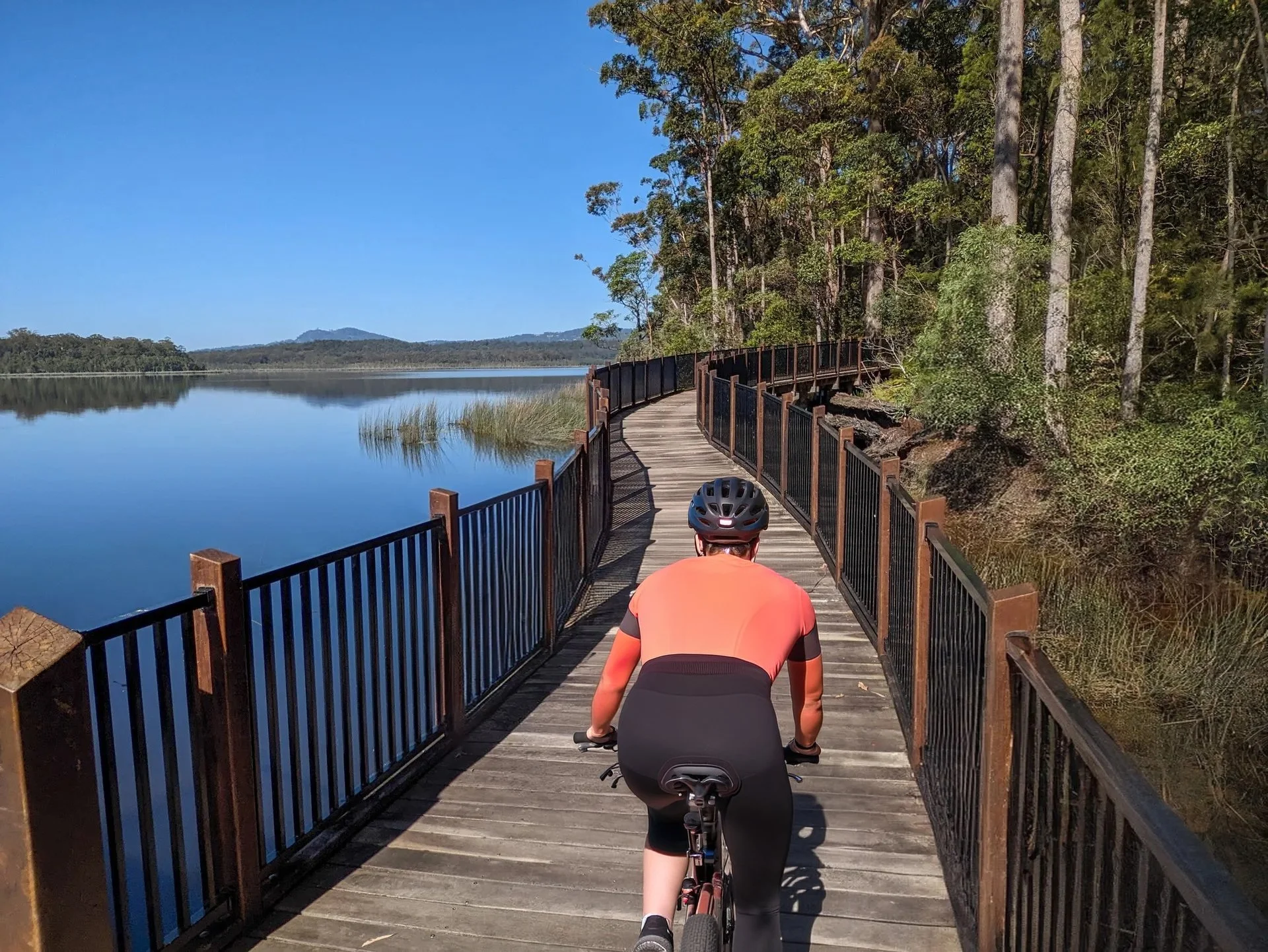 Person riding a bicycle on a wooden pathway in a natural setting with trees and water on the side, under a clear blue sky.