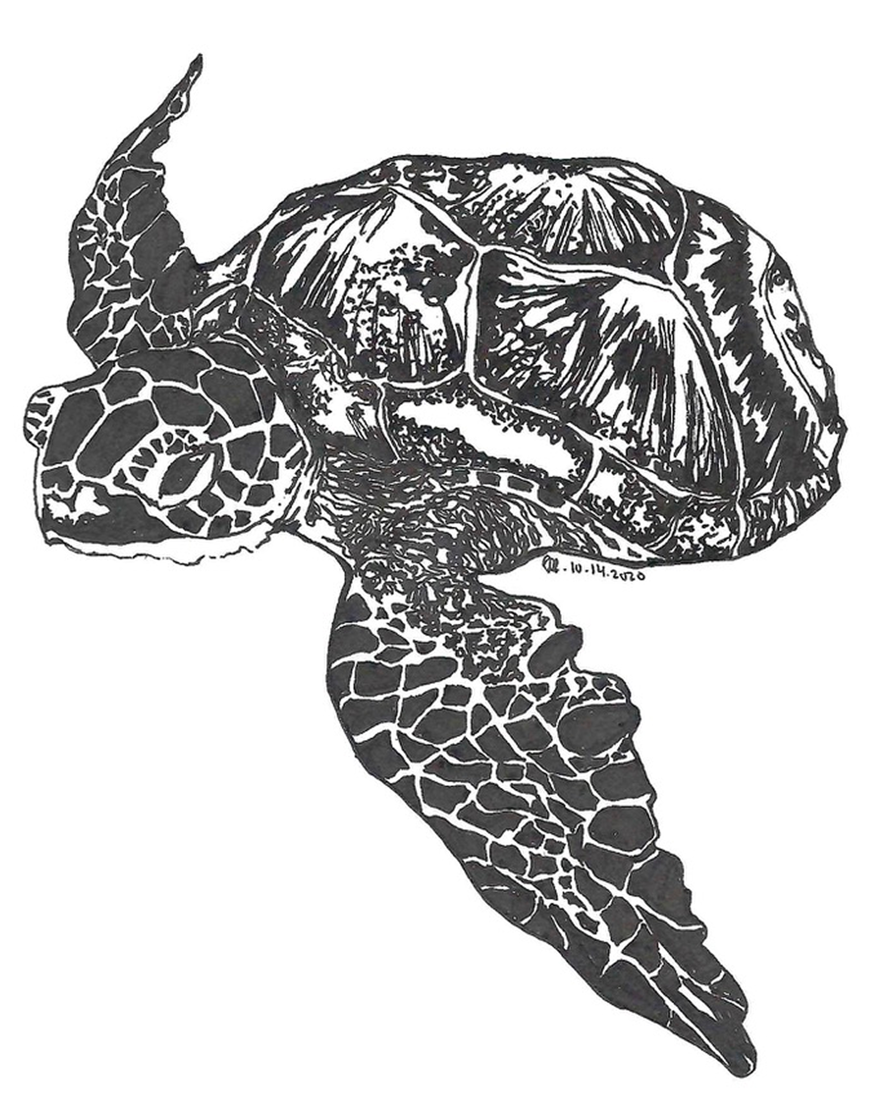 ink, sketch paper, 5.5x8.5in