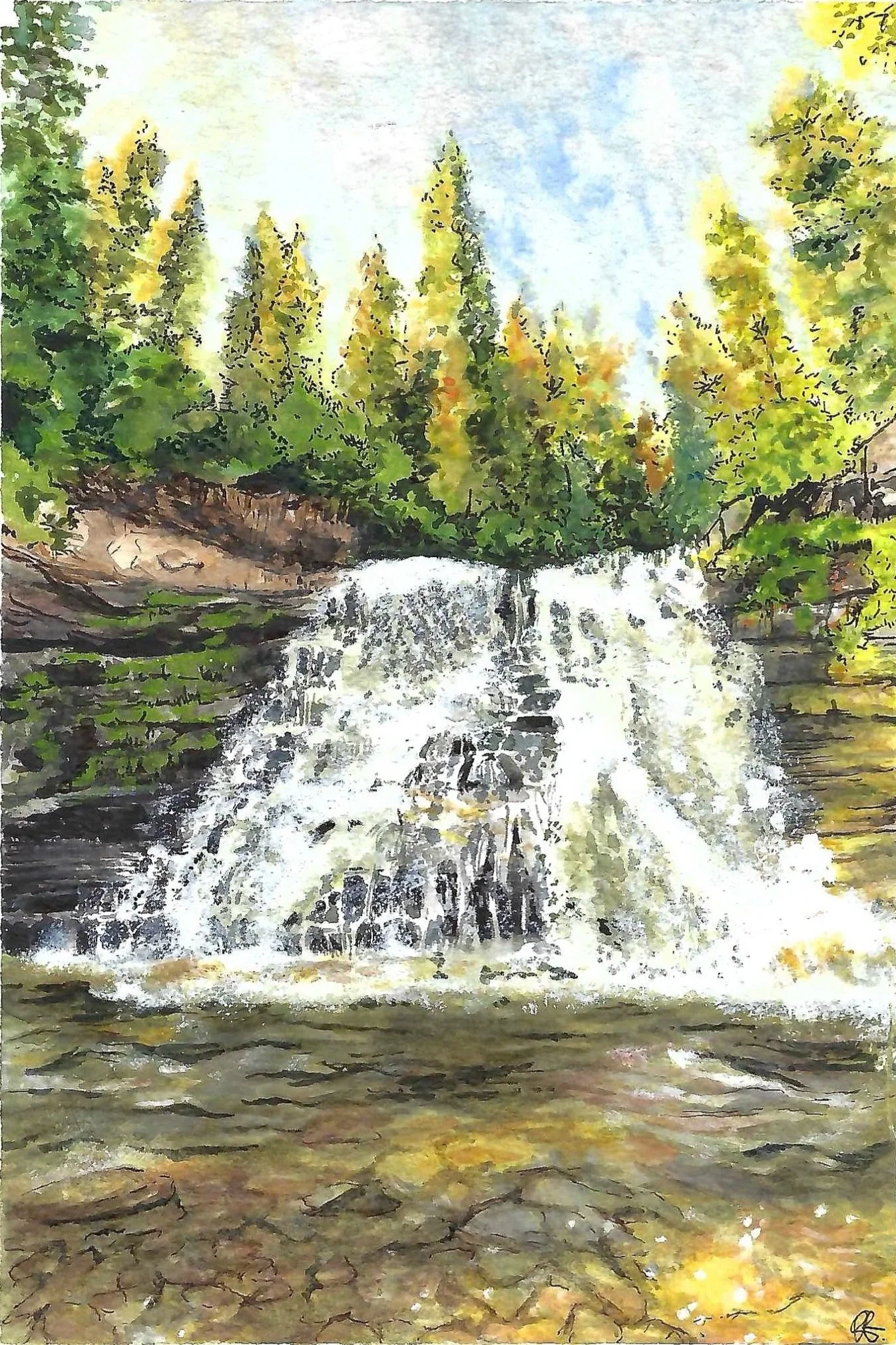 nature / landscapes
