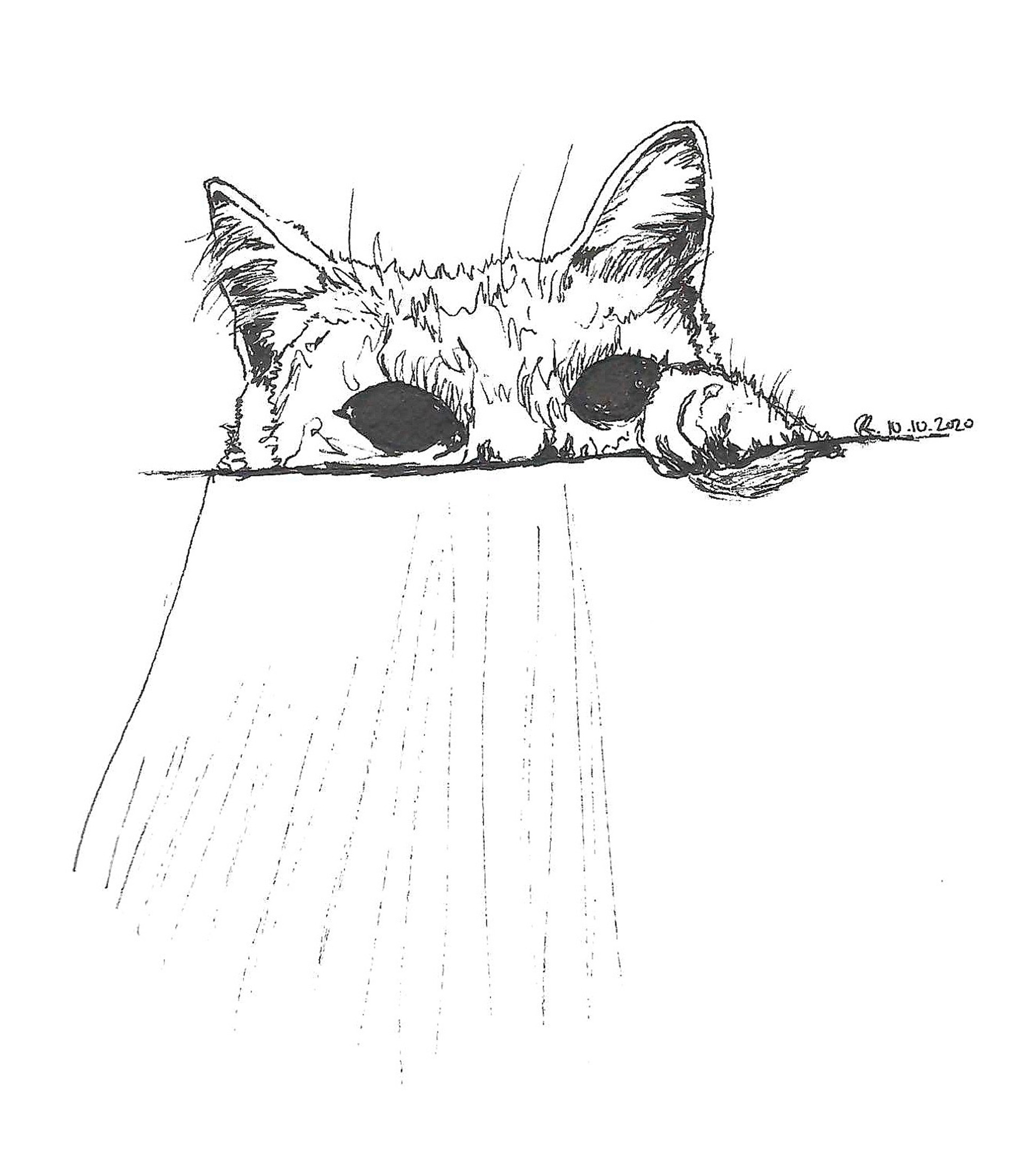 ink, sketch paper, 5.5×8.5in