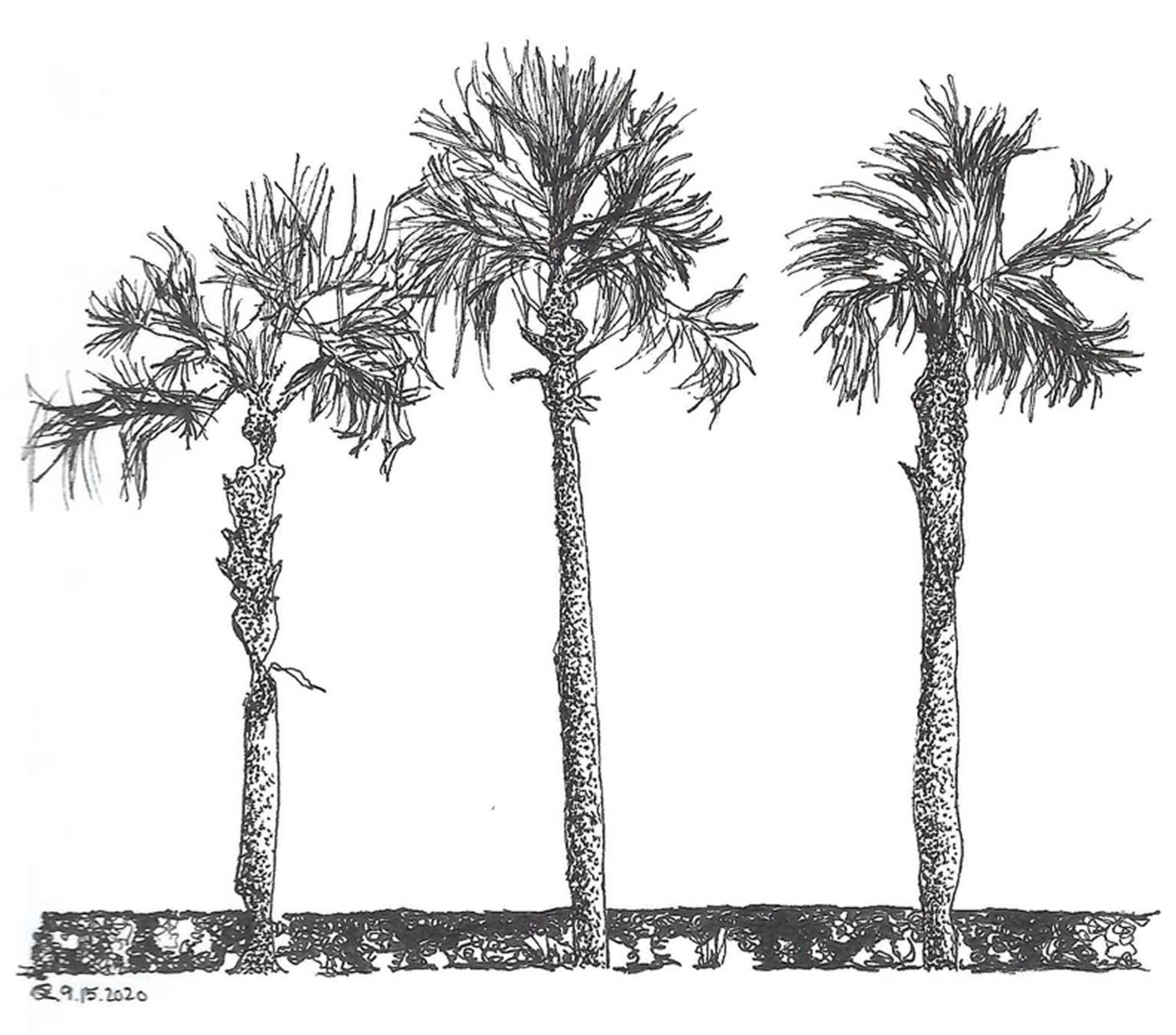 ink, sketch paper, 5.5×8.5in