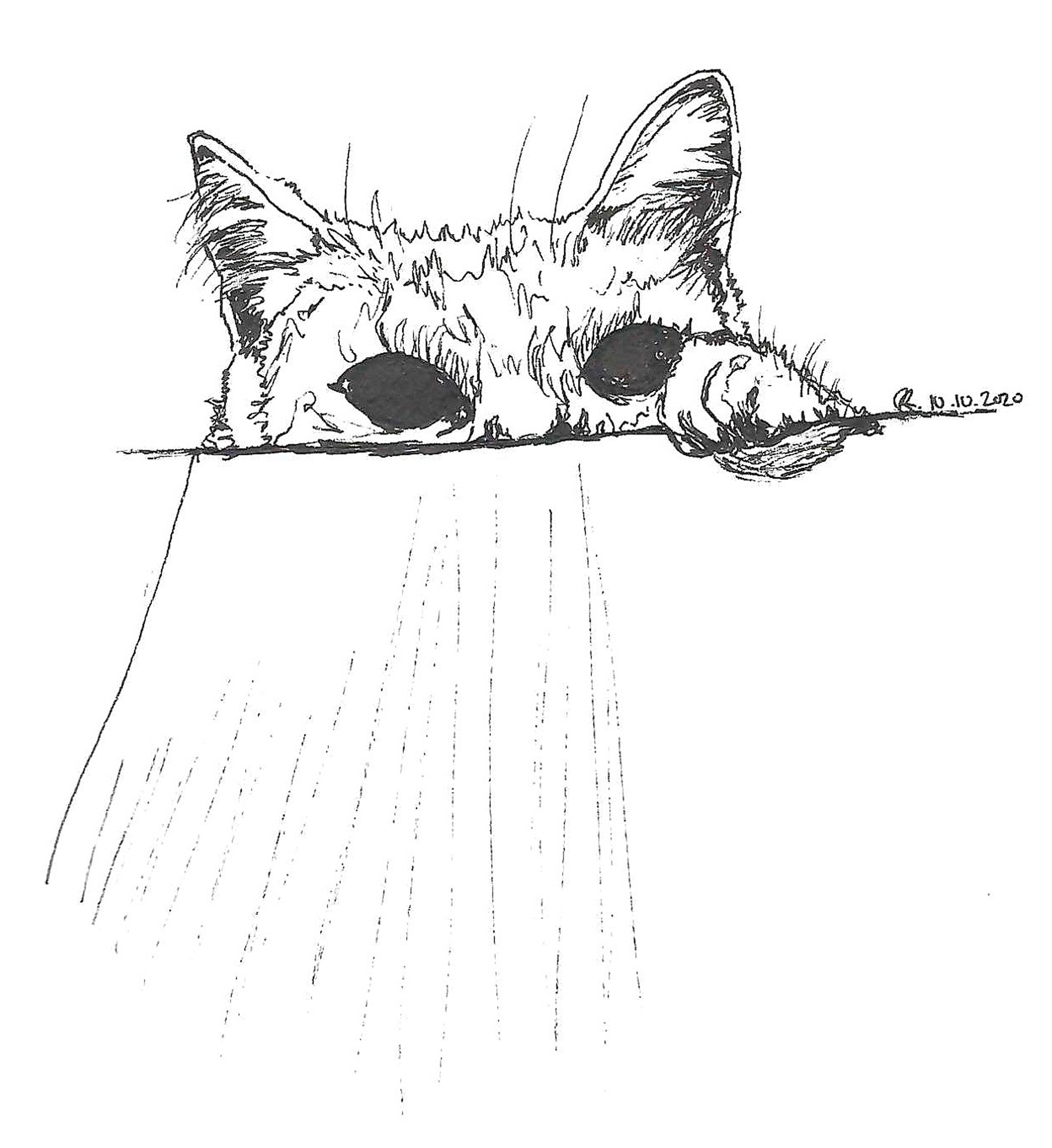 ink, sketch paper, 5.5x8.5in