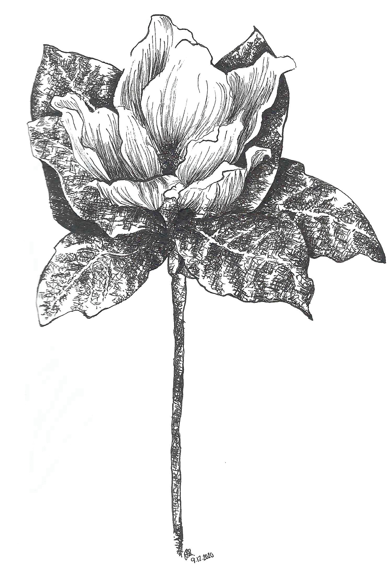 ink, sketch paper, 5.5×8.5in