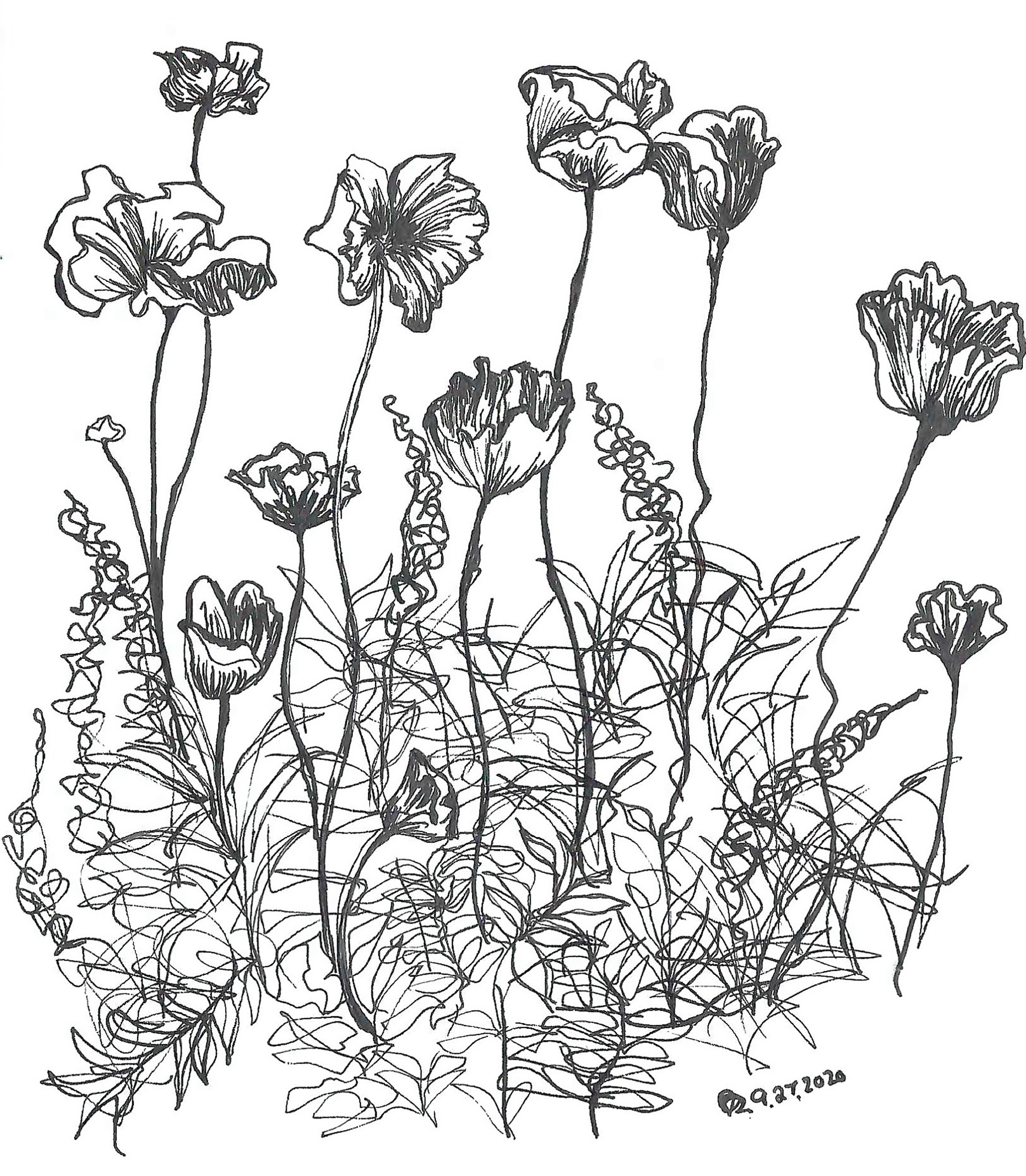 ink, sketch paper, 5.5×8.5in