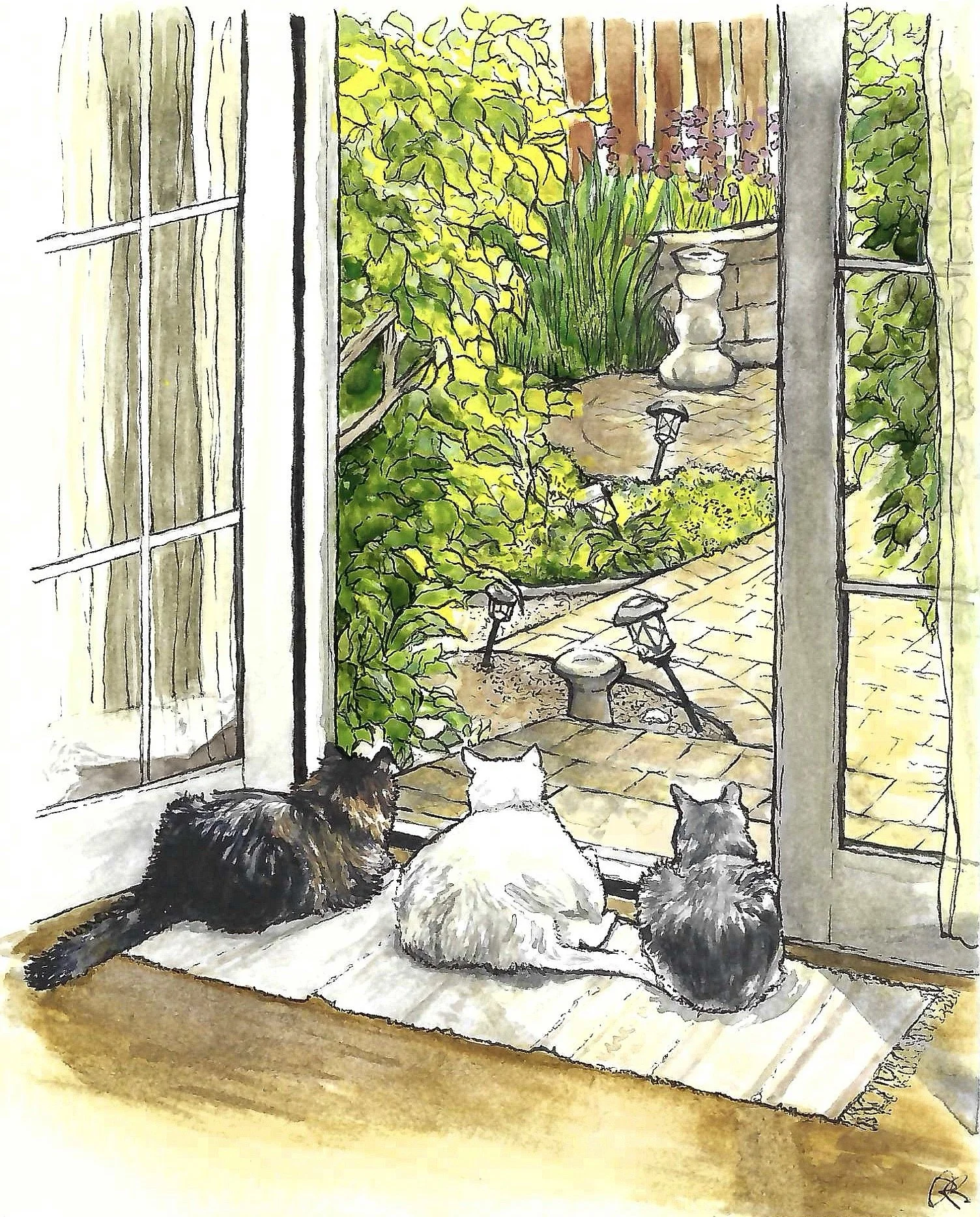 animals
