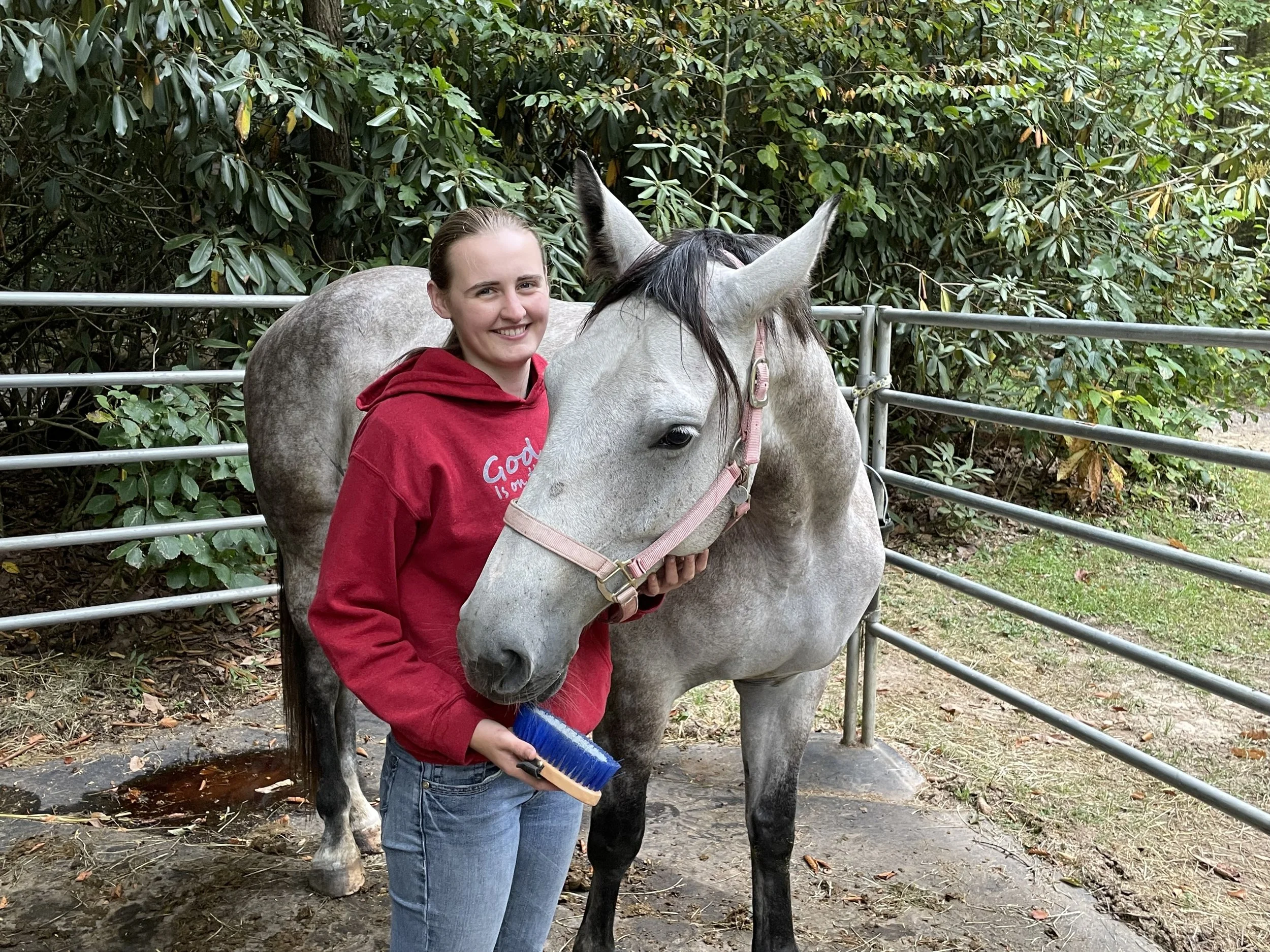 A woman in a red hoodie standing next to a gray horse with a pink halter, brushing the horse's neck in an outdoor enclosure with green bushes and a metal fence in the background.