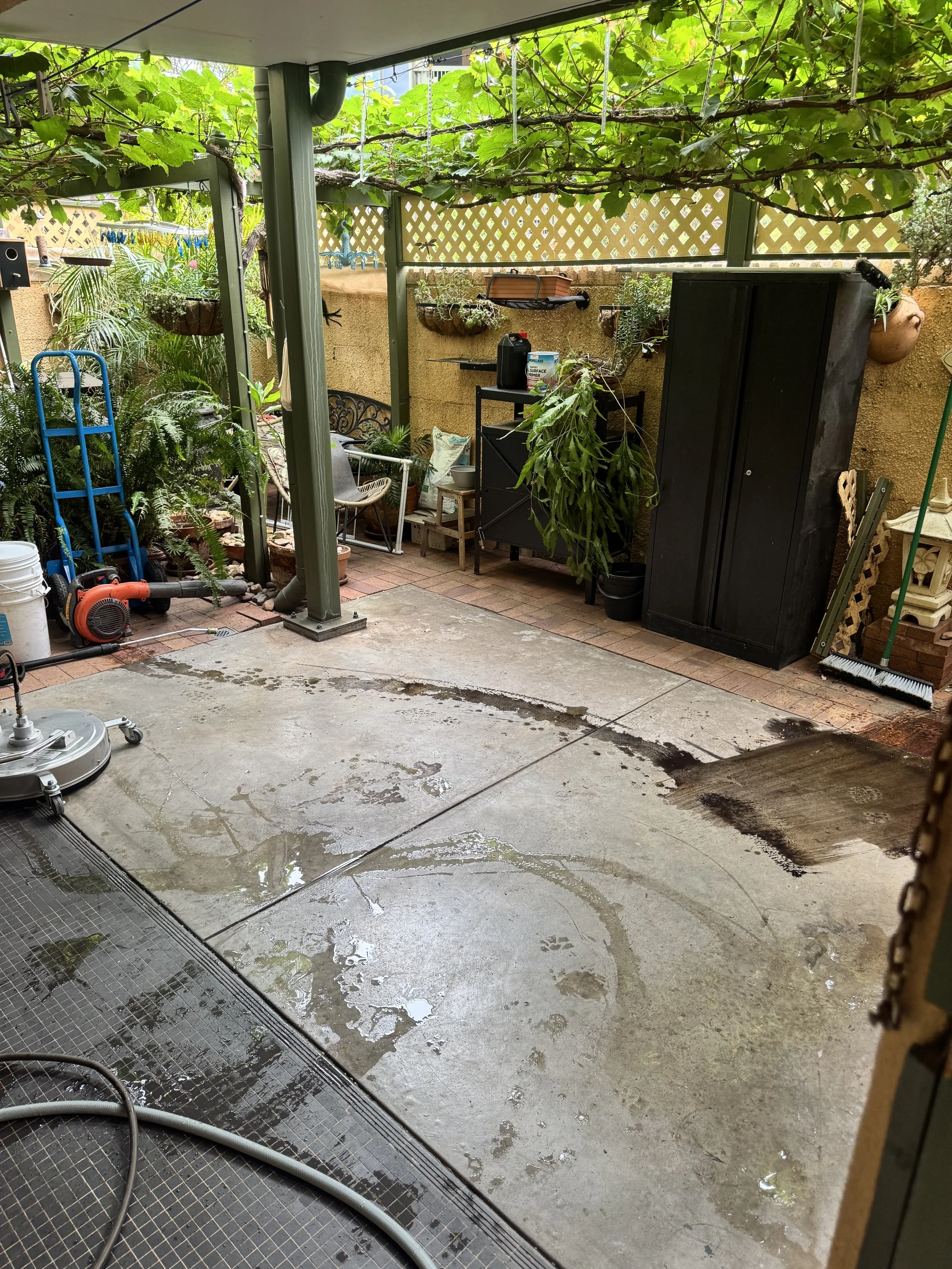 Backyard patio with green vine-covered trellis, black storage cabinet, gardening supplies, and a wet concrete floor.