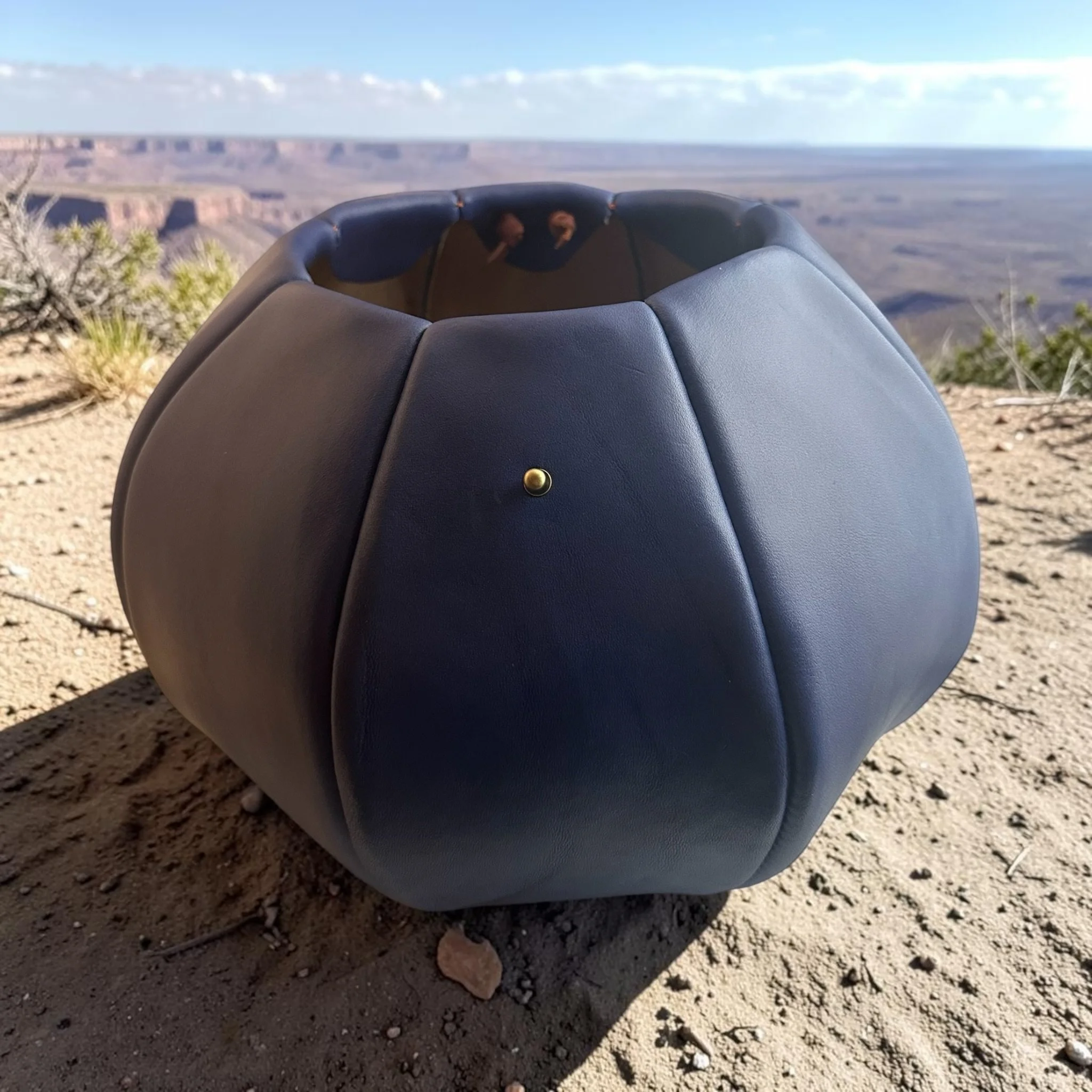 Gertie lid off tableau landscape.jpeg