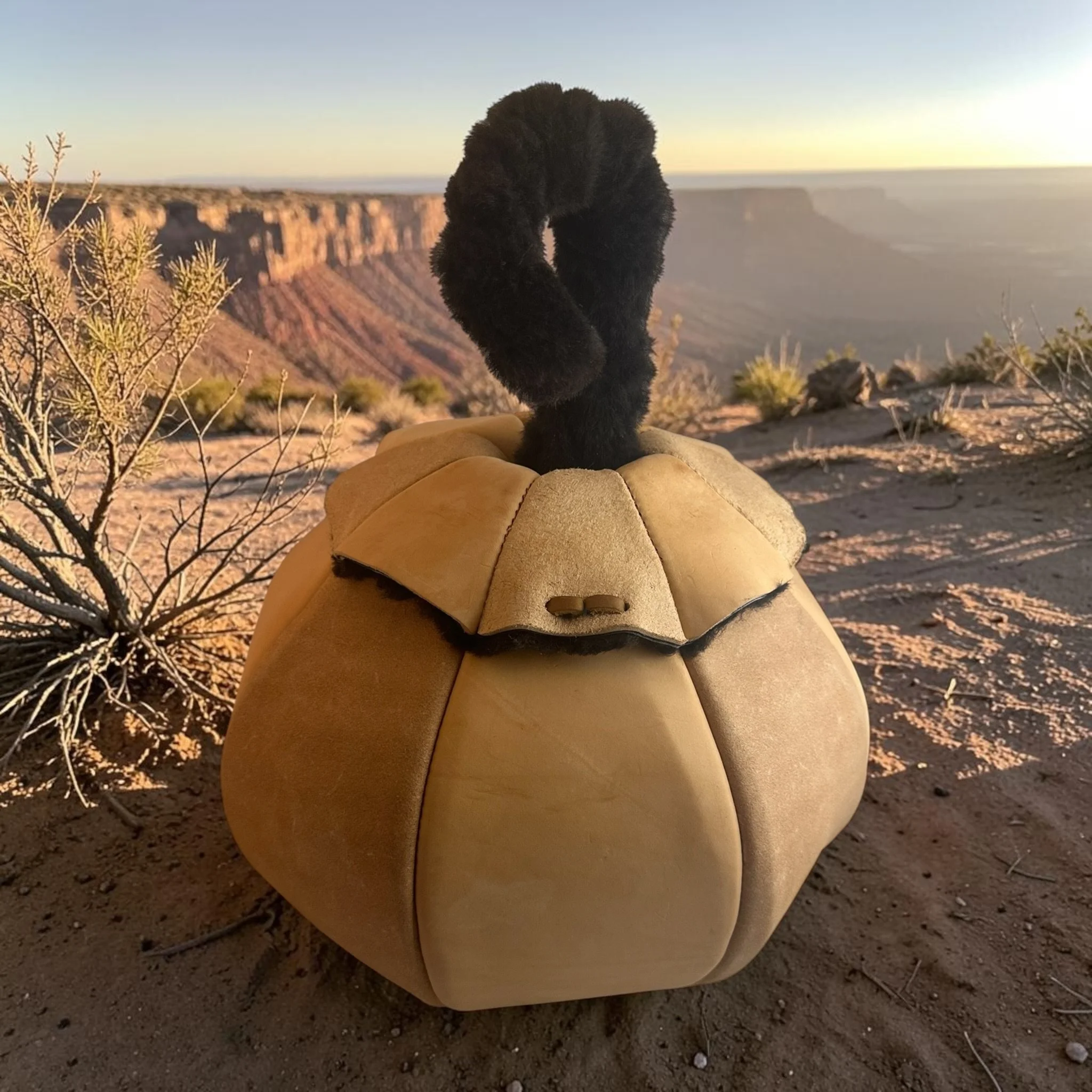 Jan back plateau overlook.jpeg