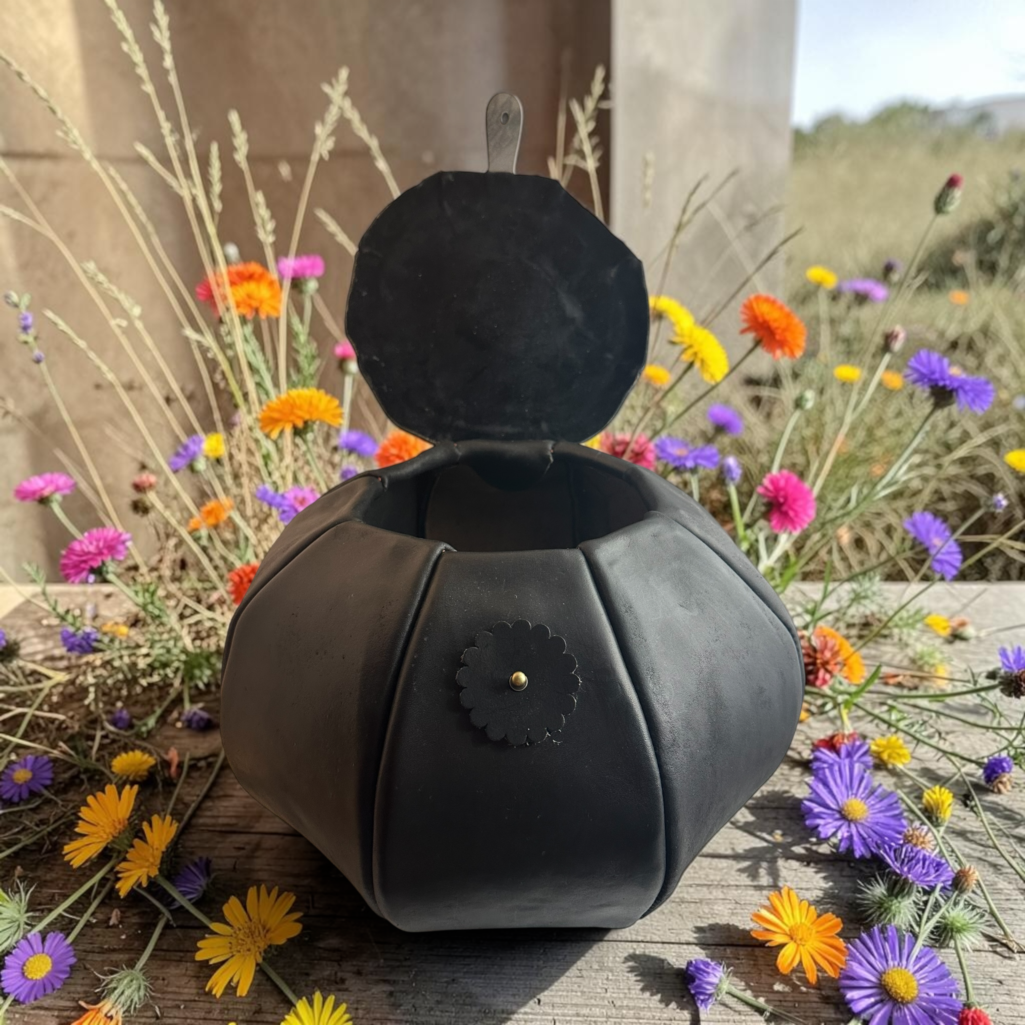 Belle lid up Western Texas wildflowers.png