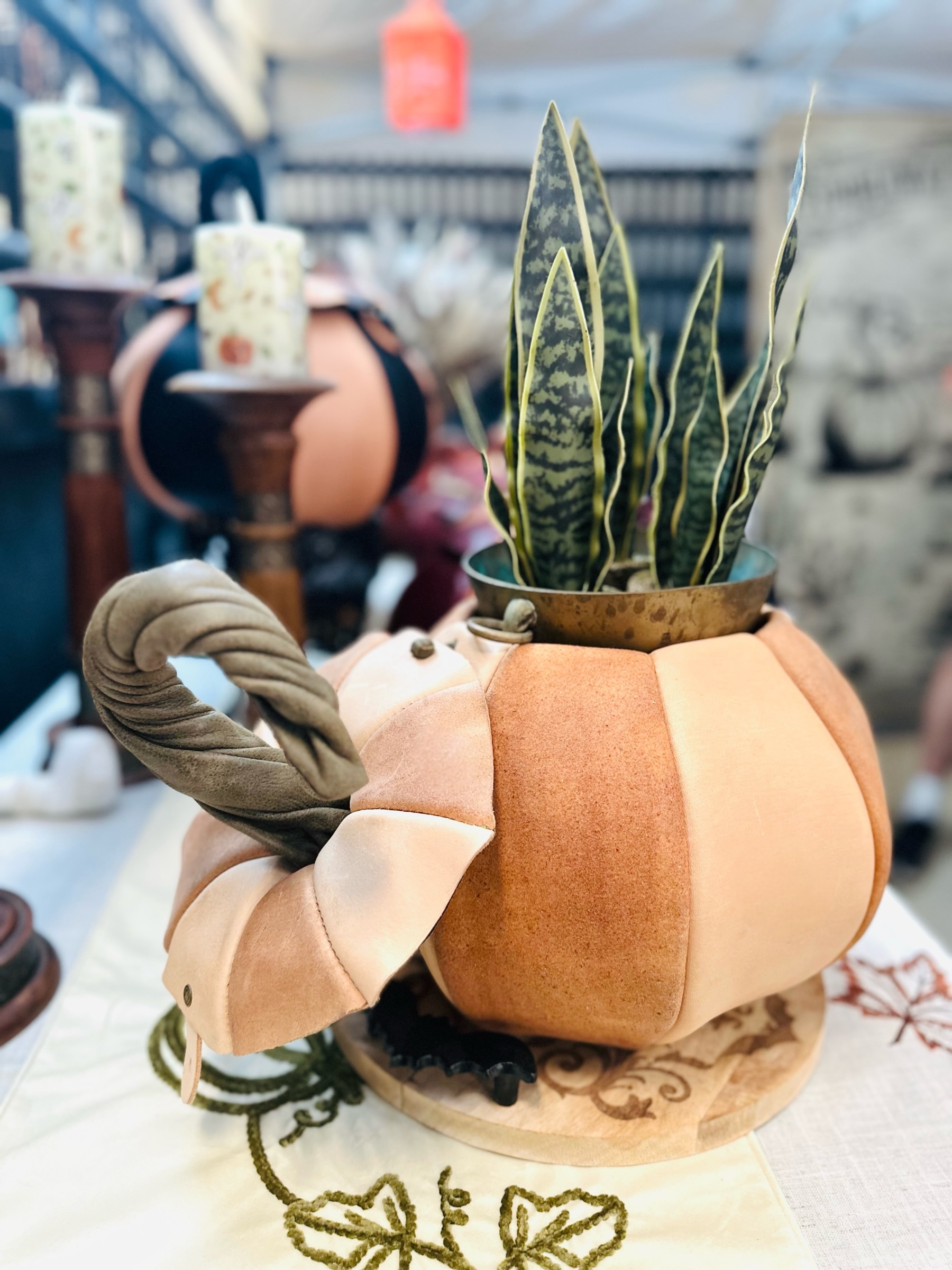 Bonnie pumpkin brass planter snake plant.png