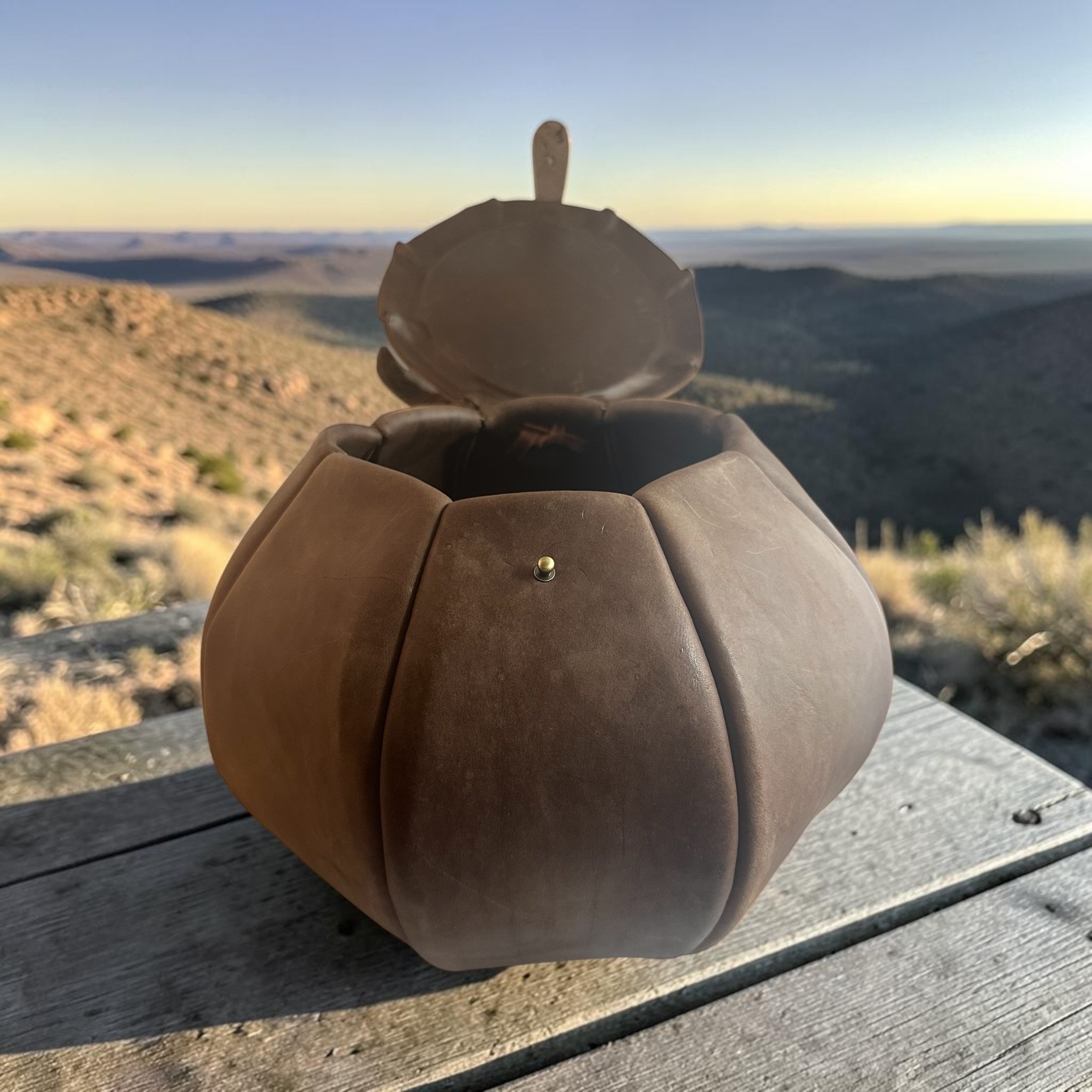 Oliver Lid Texas landscape.jpeg