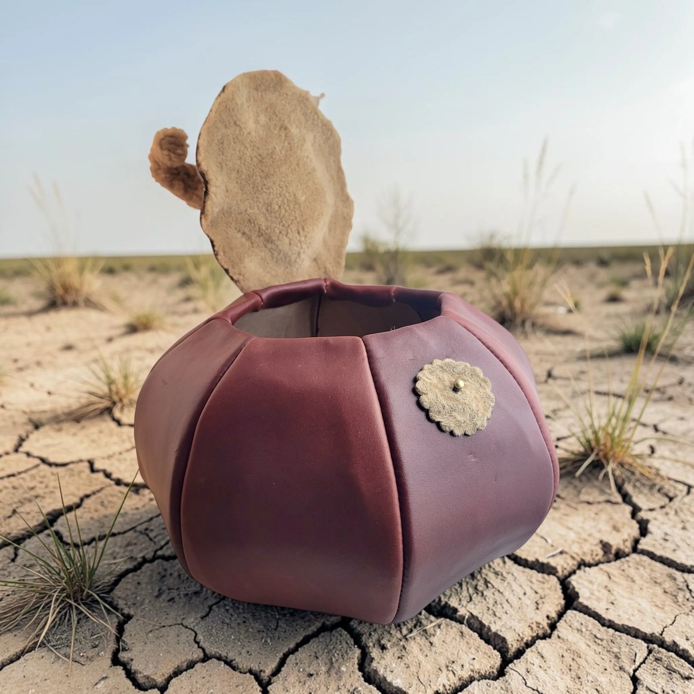 Clyde lid Texas landscape.jpeg