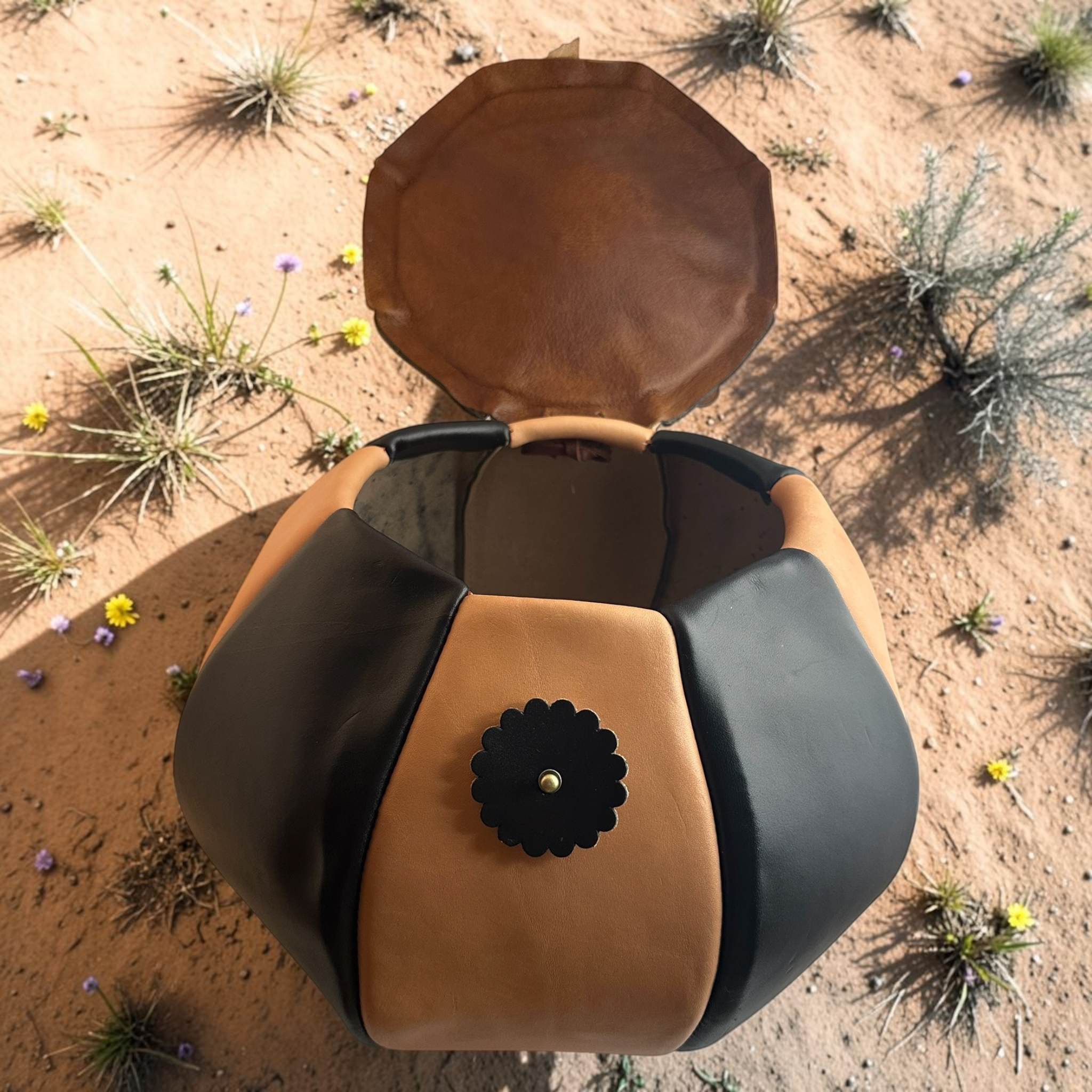 Bonnie open lid Western Texas.png