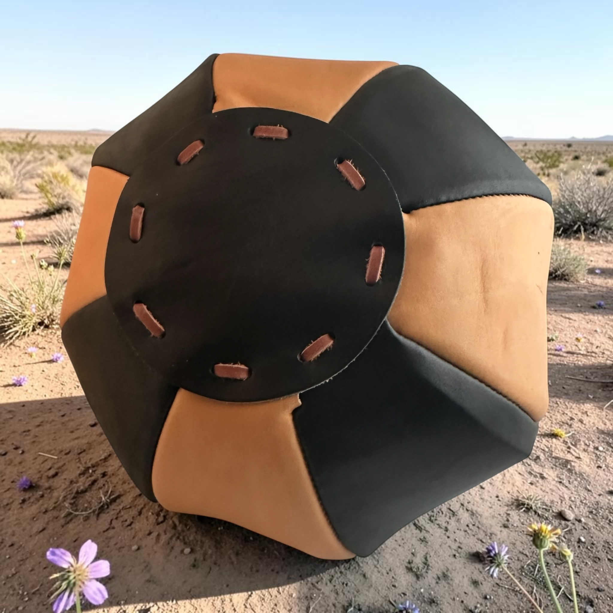 Bonnie underside Western Texas purple flower.png