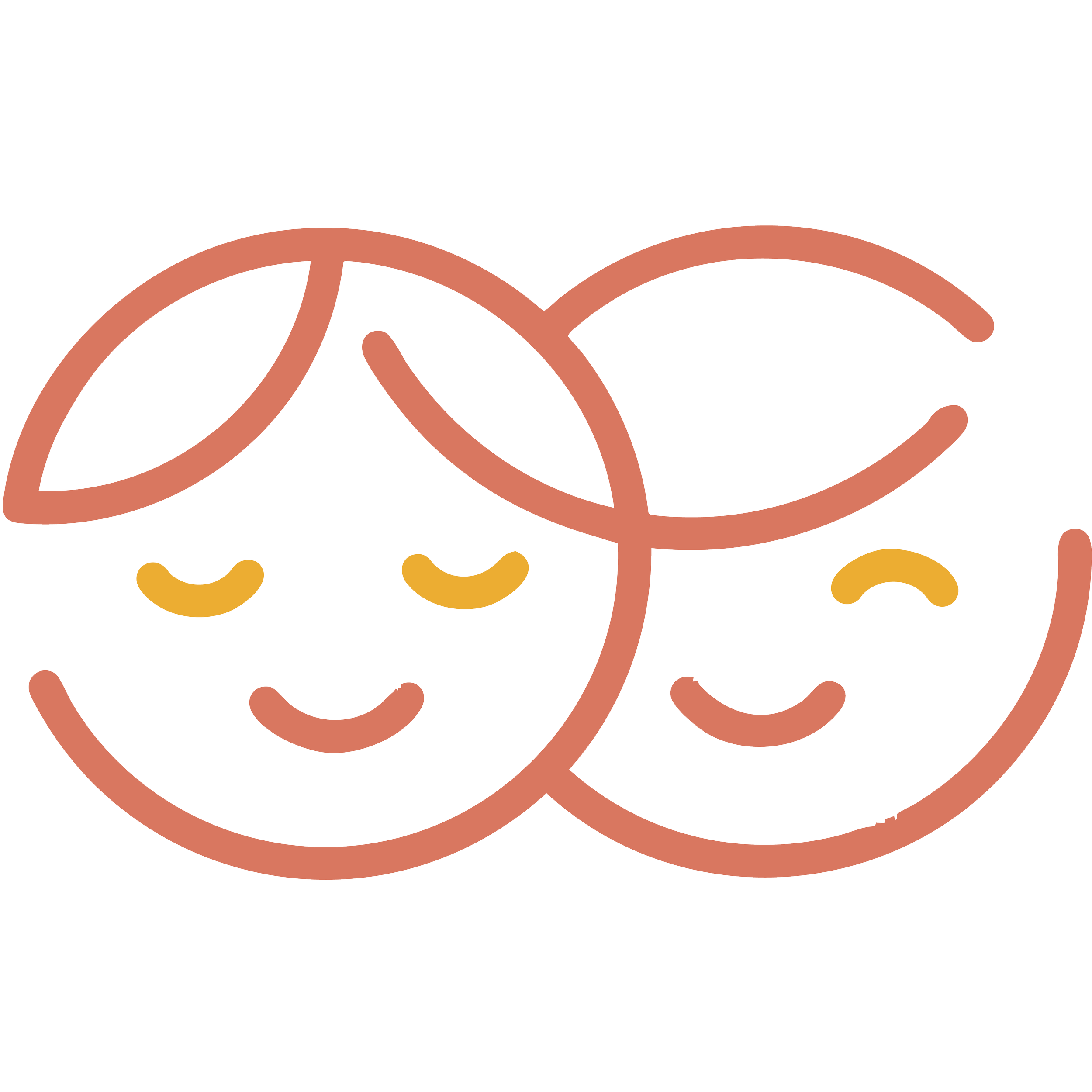 Abstract illustration of intertwined lines in shades of brown, orange, and yellow on a black background.
