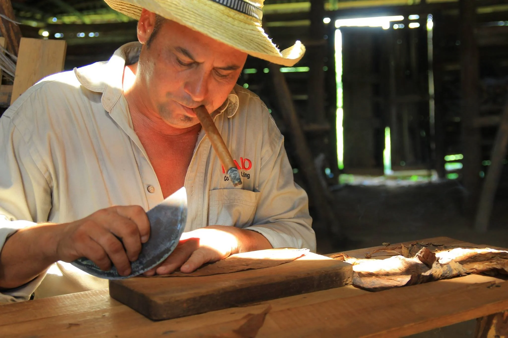 竹を削っている男性の葉巻たばこ職人の姿。帽子をかぶり、木の作業台の前で作業しています。キューバ