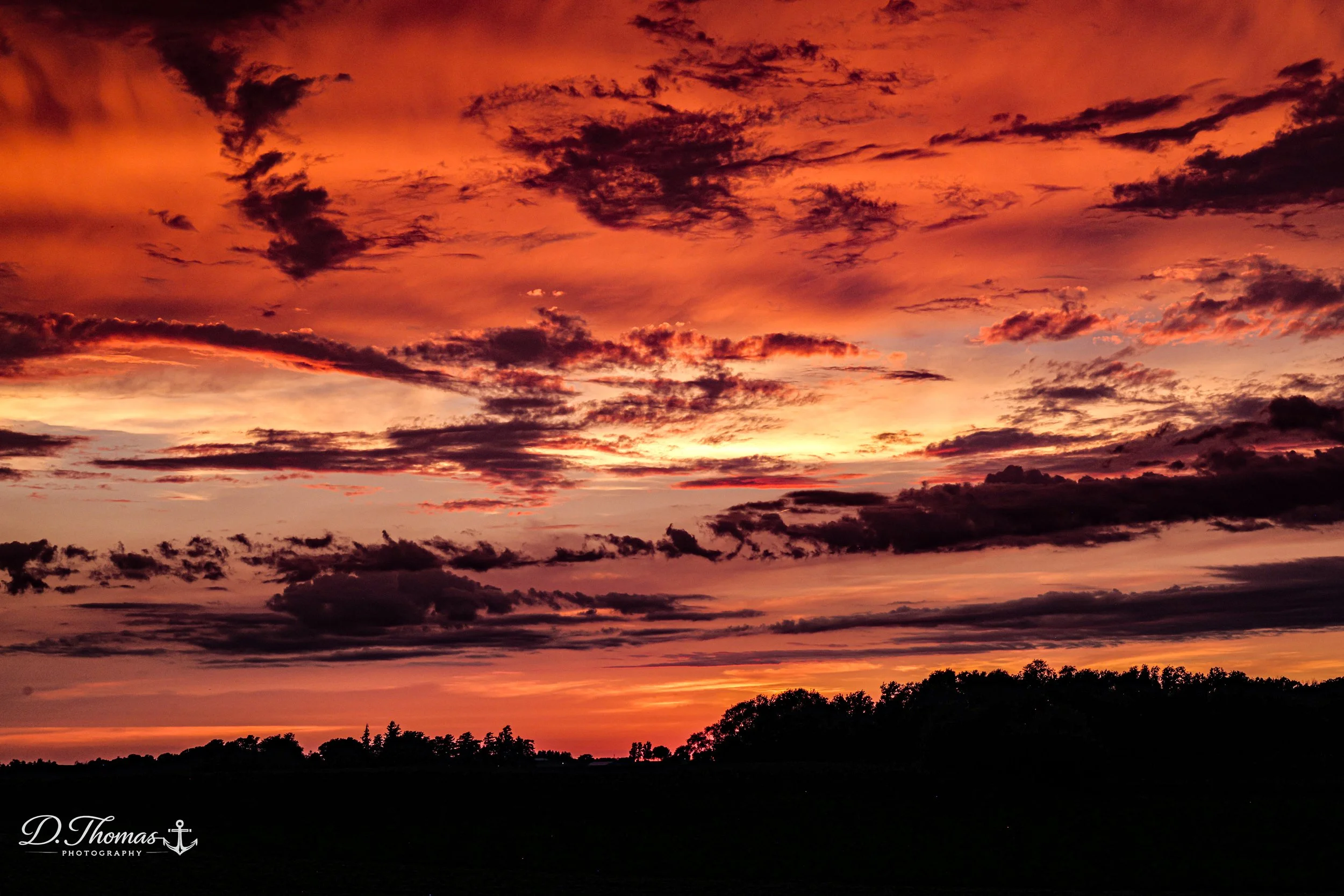 Bright Sunset