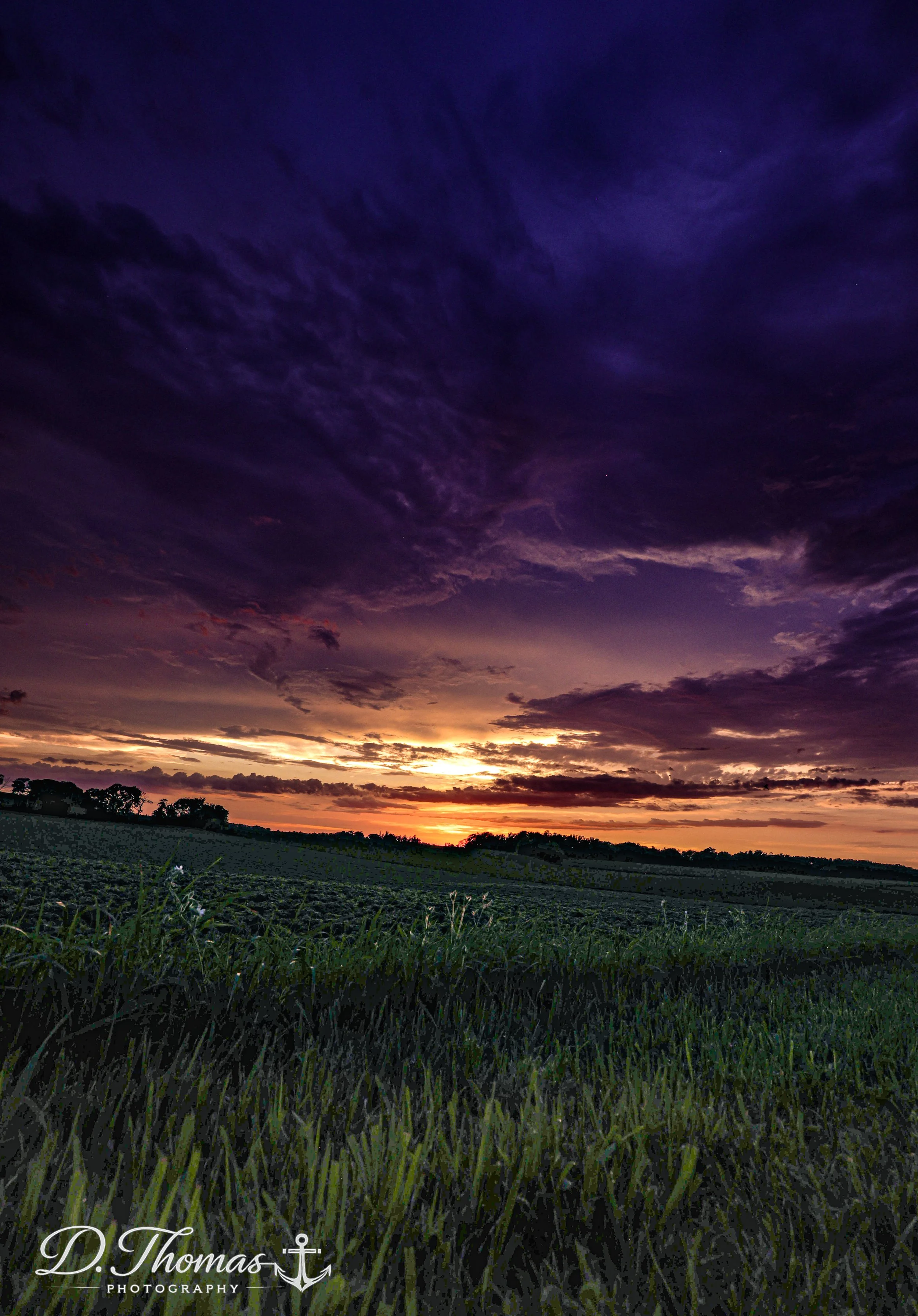 Follow the Sunset