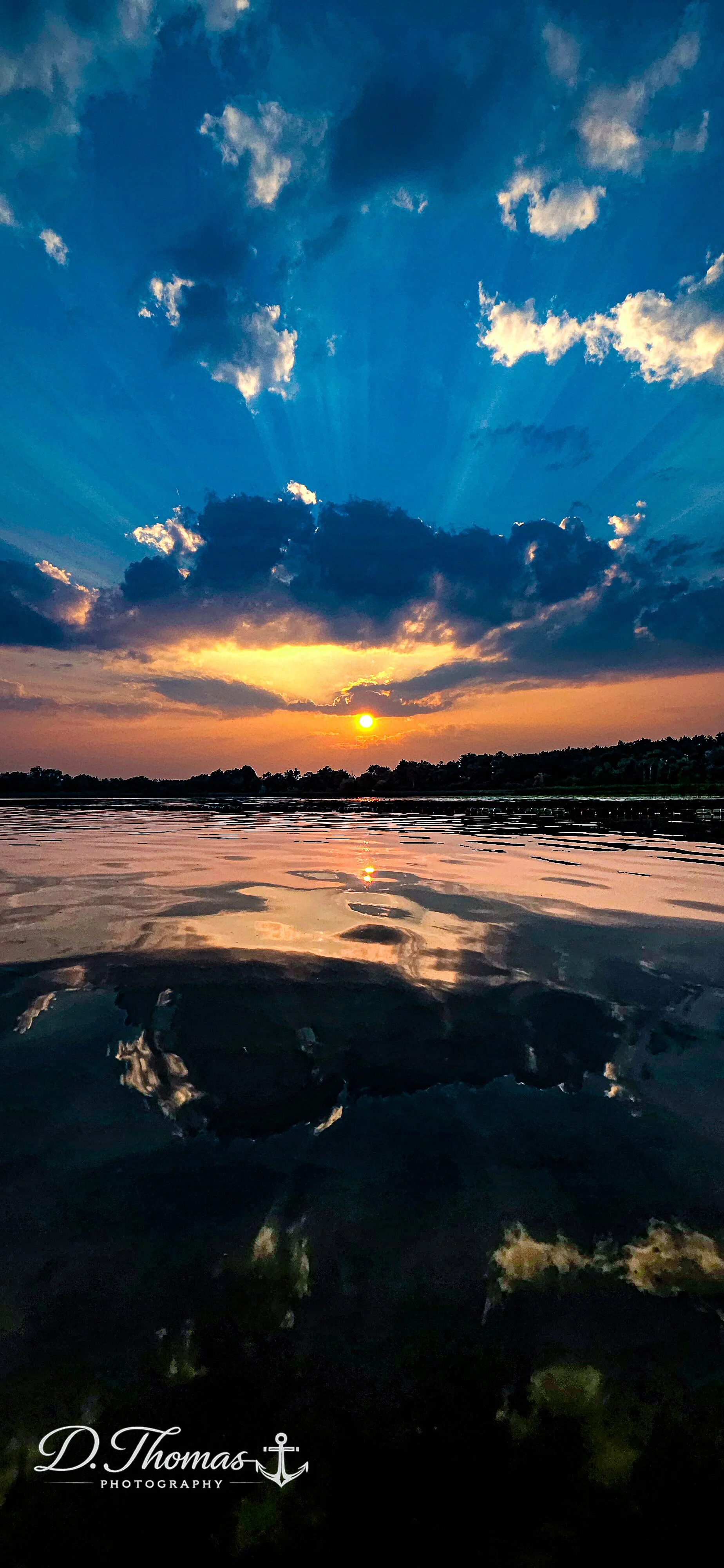 Sun Rays