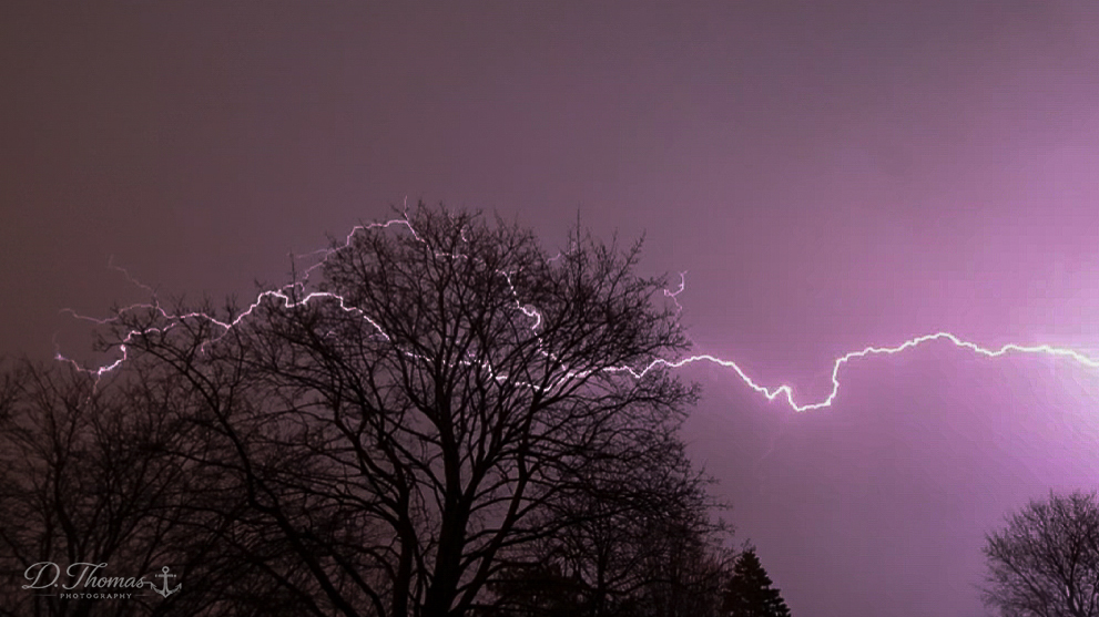 Lightening through the Tree