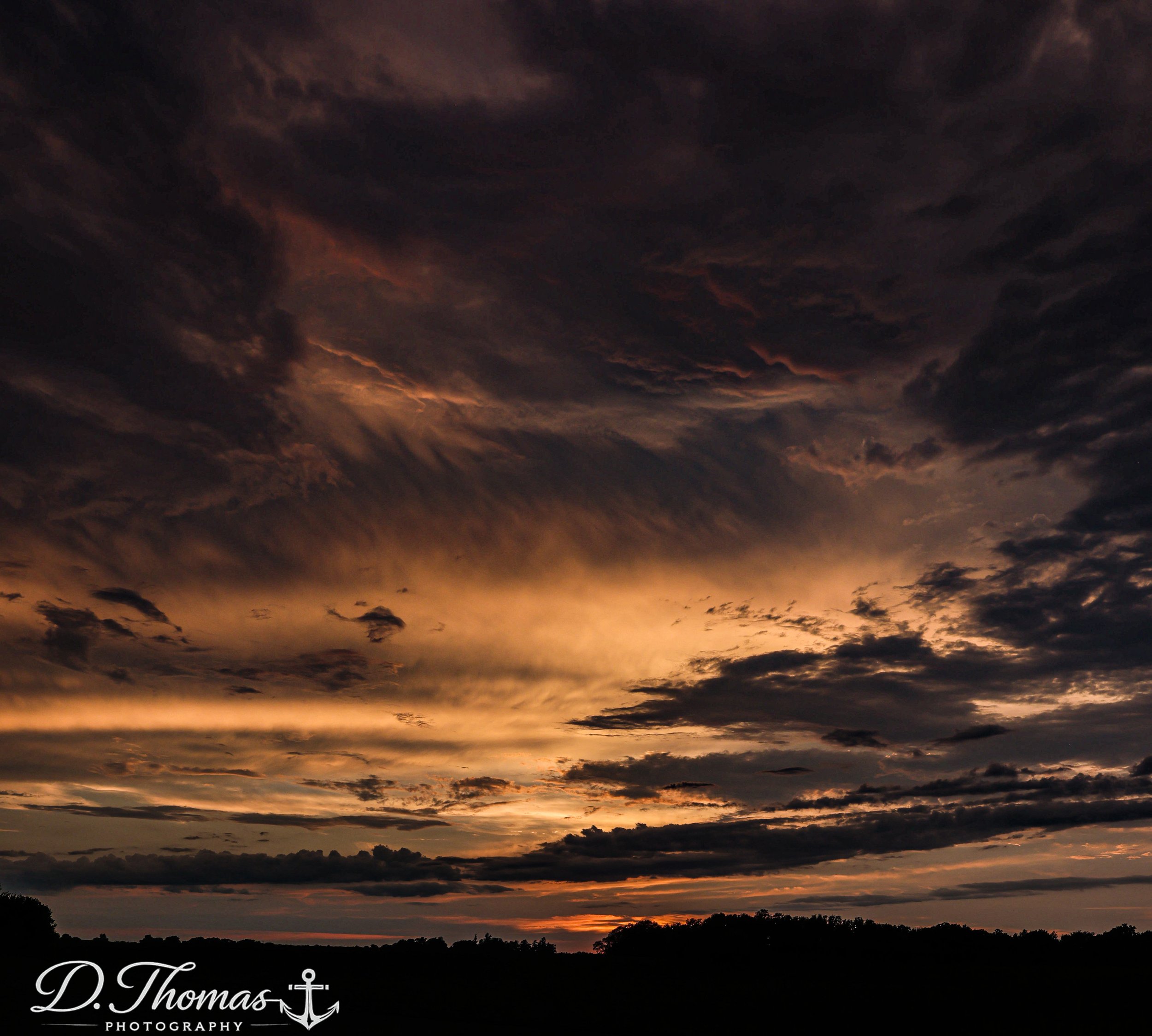 Sun tipped clouds