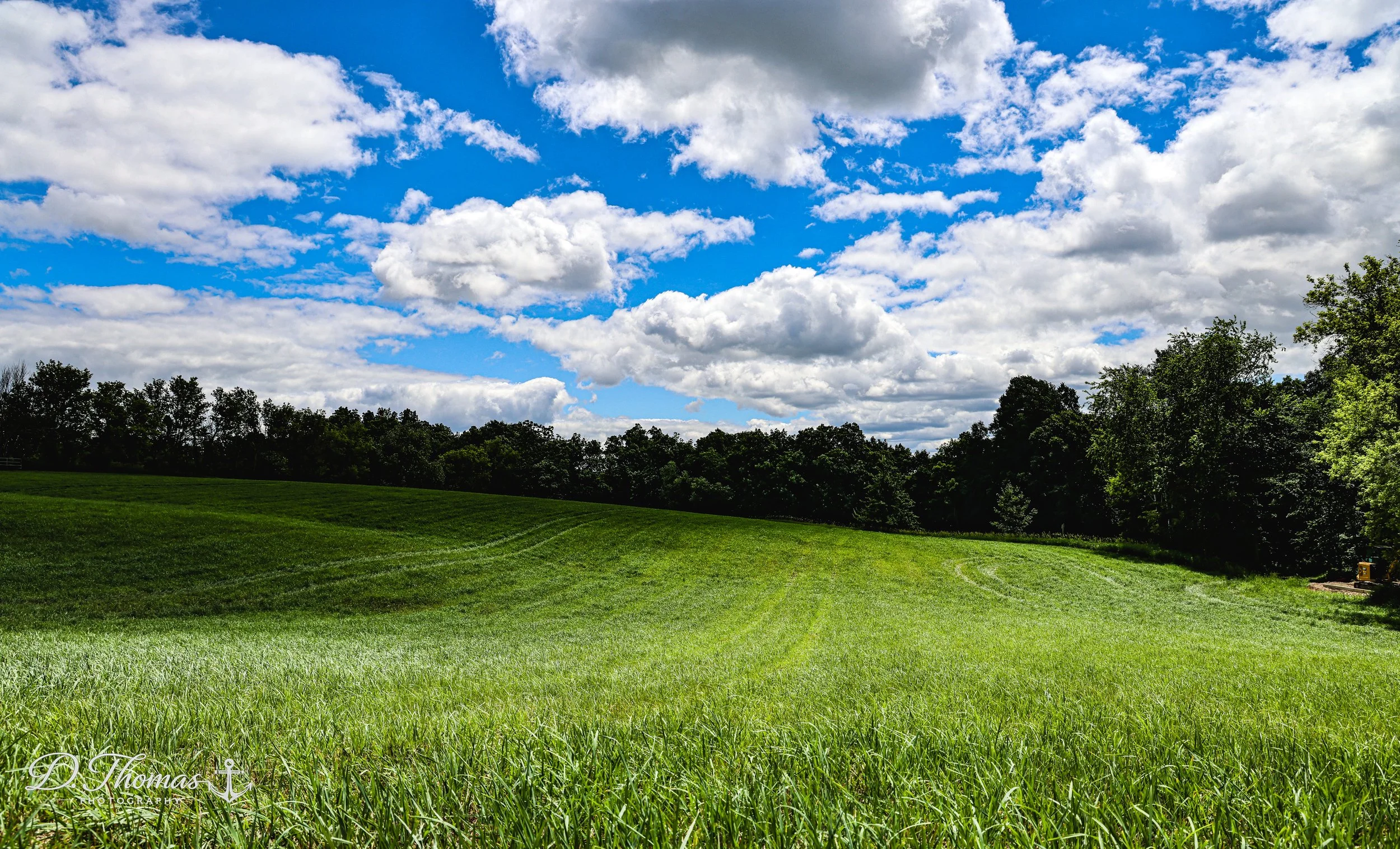 Fluffy Clouds