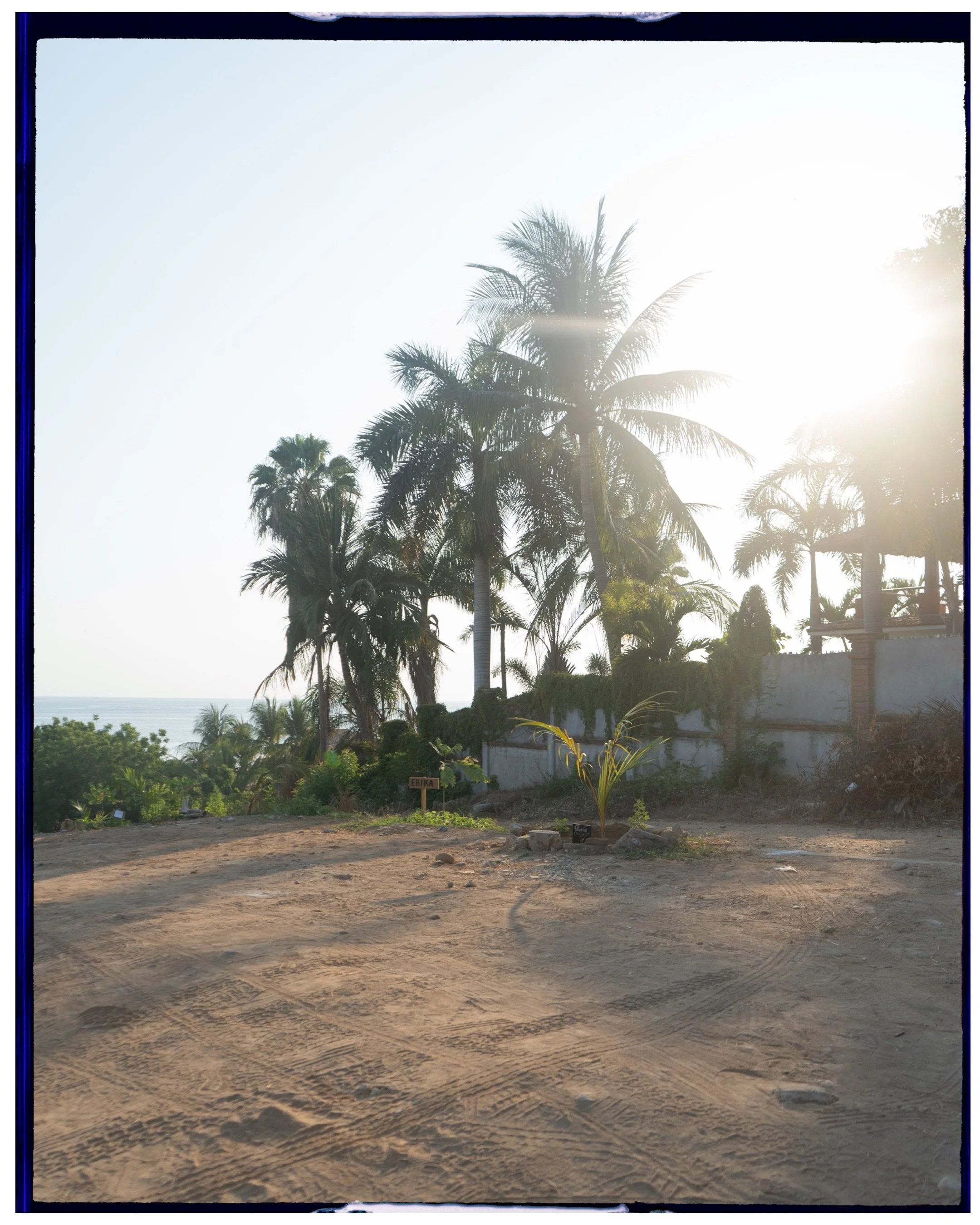 Editorial tropical beach photography with sunlight streaming through palm trees over sand