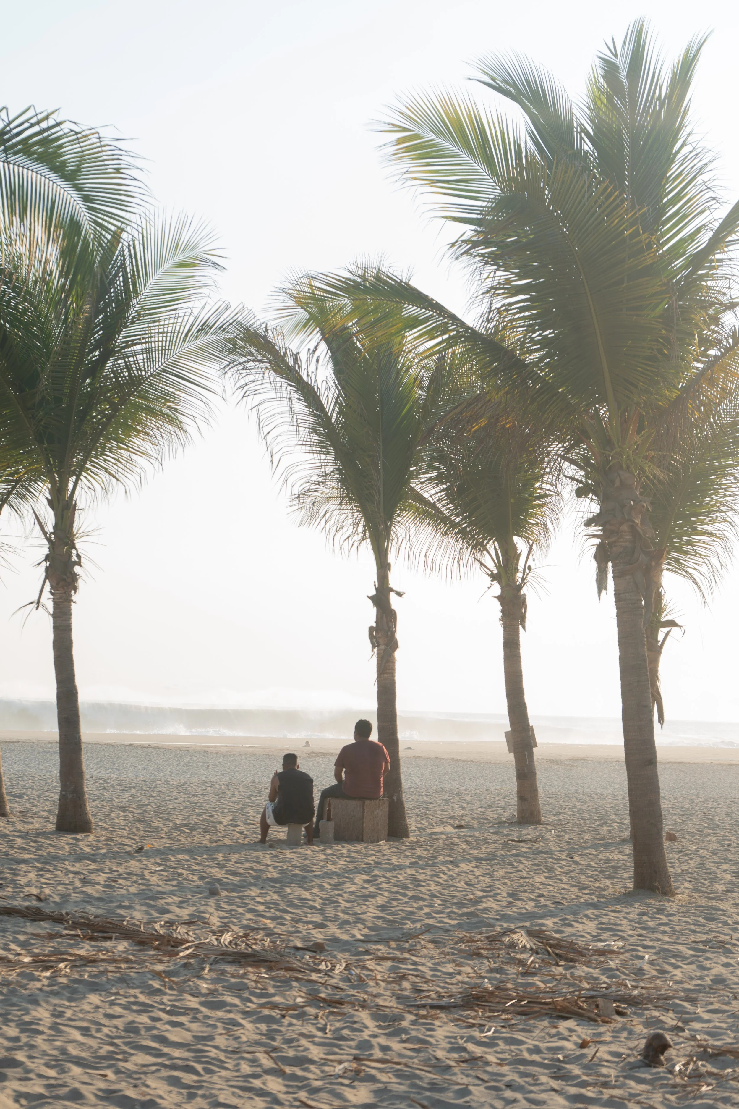 Two people sitting on a beach with palm trees, sand, and ocean waves in the background during sunset or sunrise.