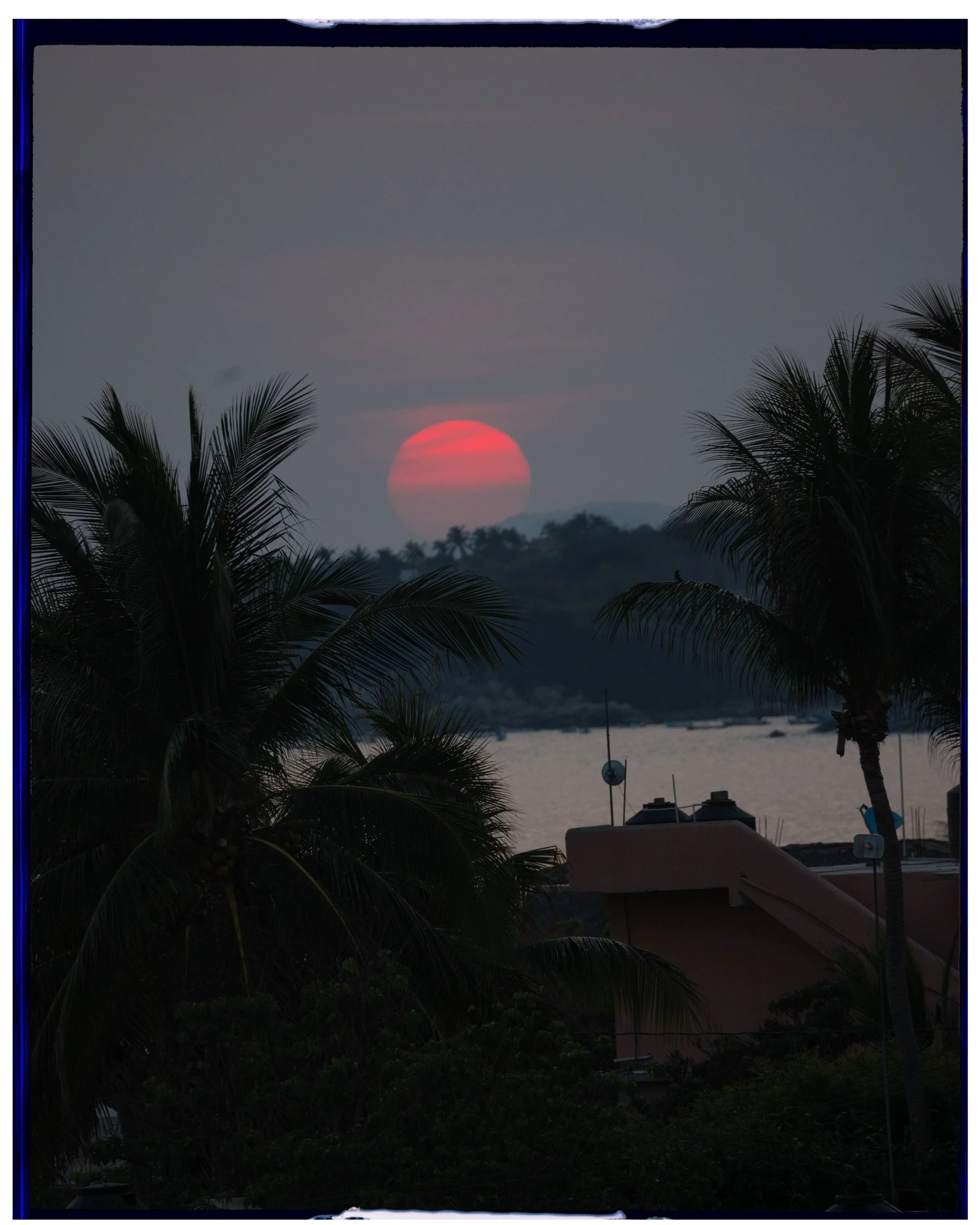 Cinematic sunset over tropical trees and coastal buildings reflecting on calm water
