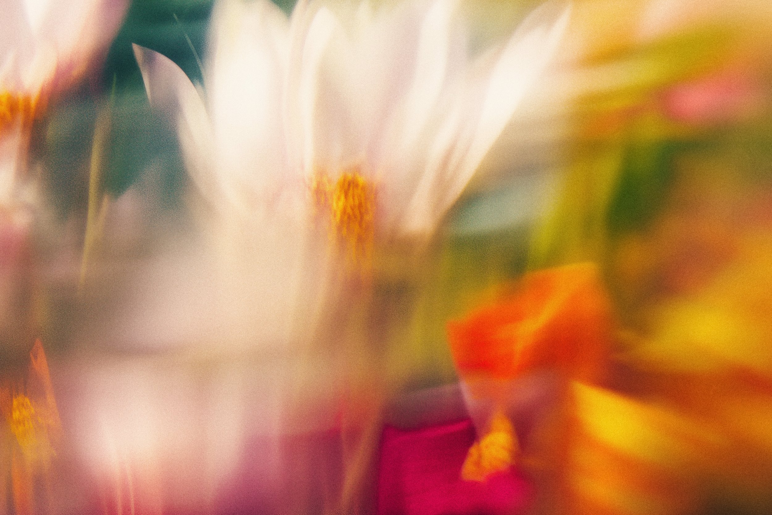 Blurred abstract multicolor image with shades of pink, orange, green, and white.