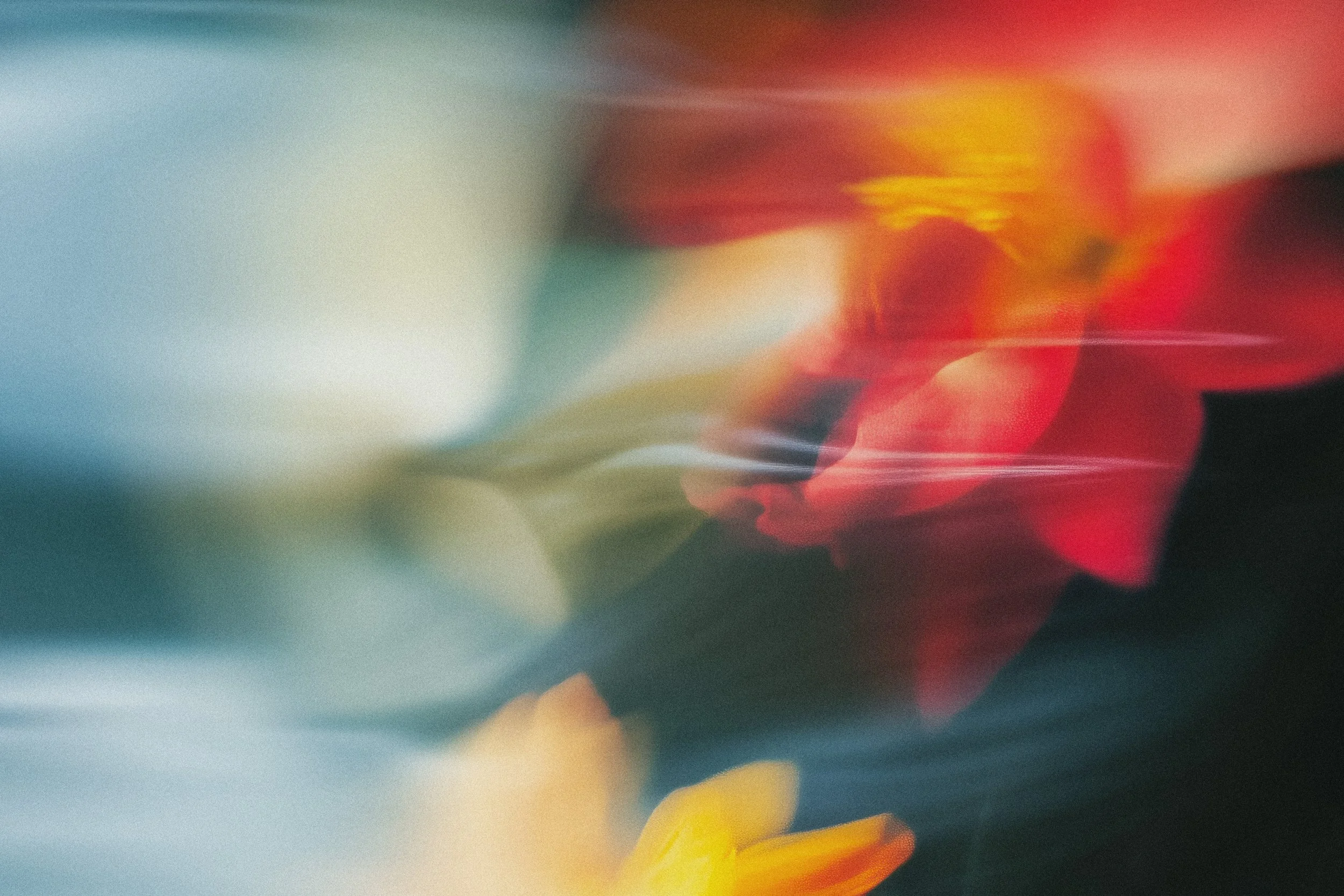 Abstract blurred multicolored lights with shades of red, yellow, blue, and black.